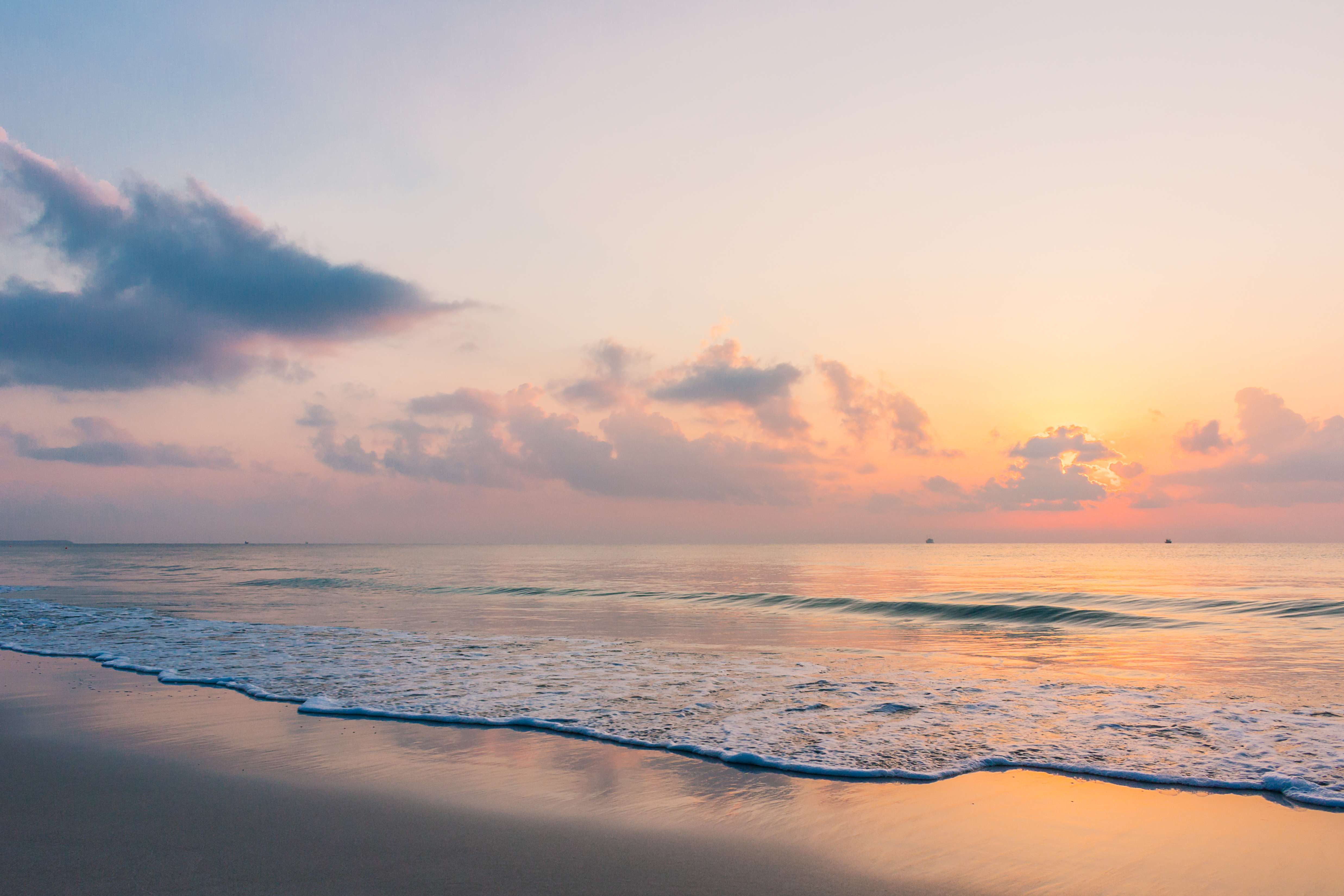 L´Arbre del Gos Beach