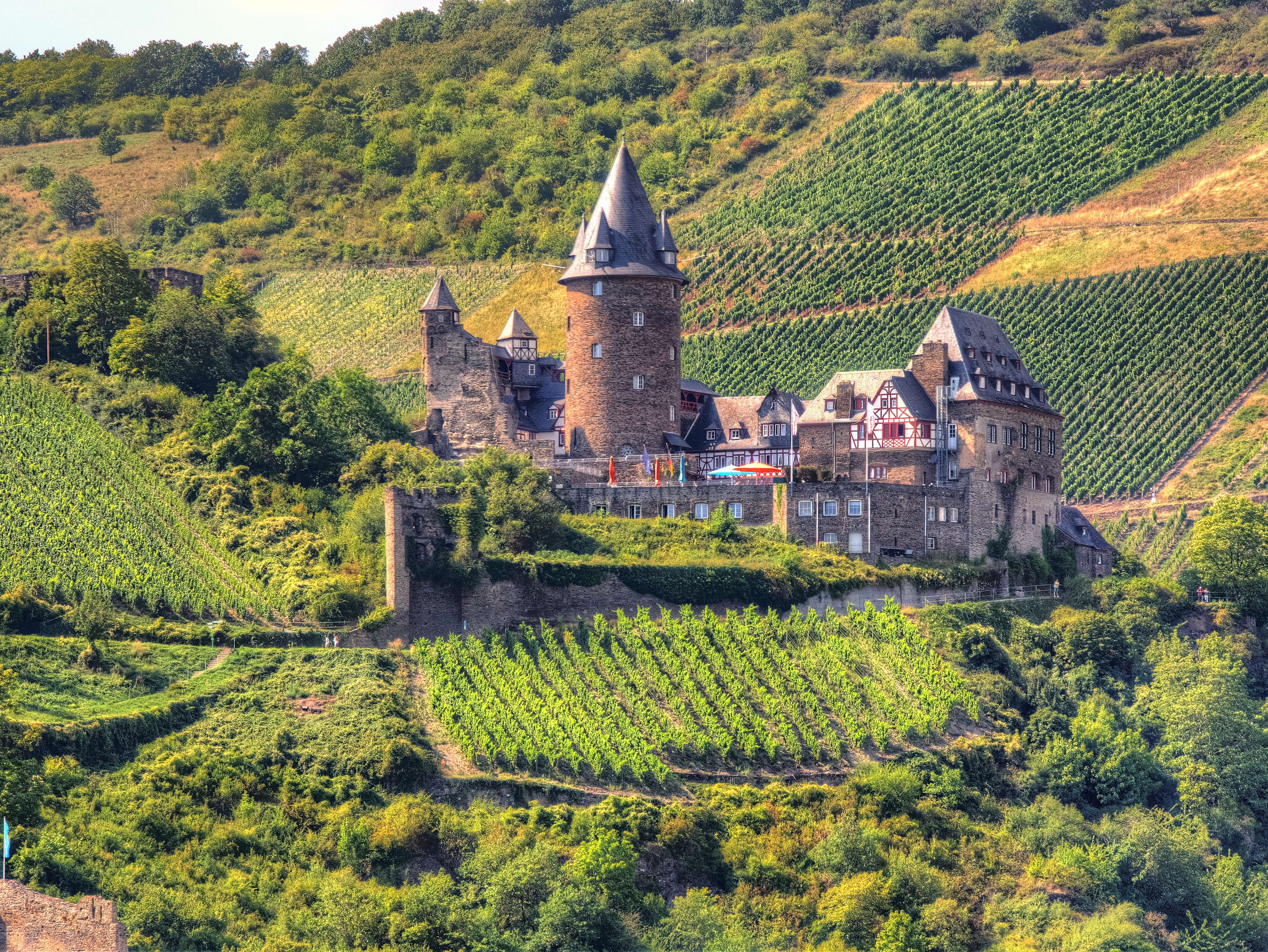 15 Castles in France You Must Visit For A Historical Day Tour!