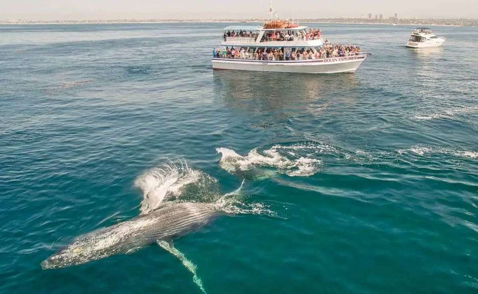 Sunset Dinner Cruise at Lake Mead