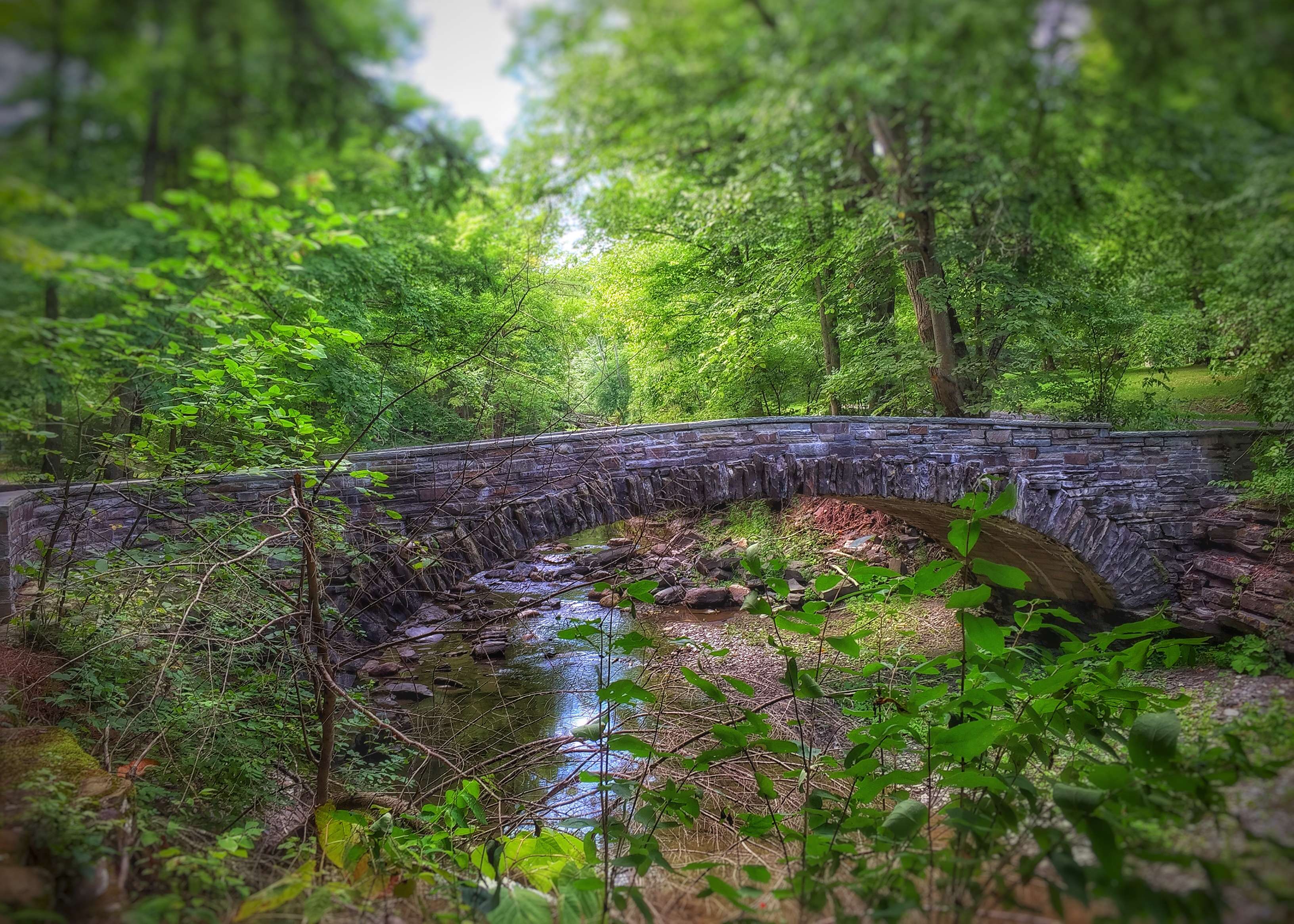 Robert H. Treman State Park