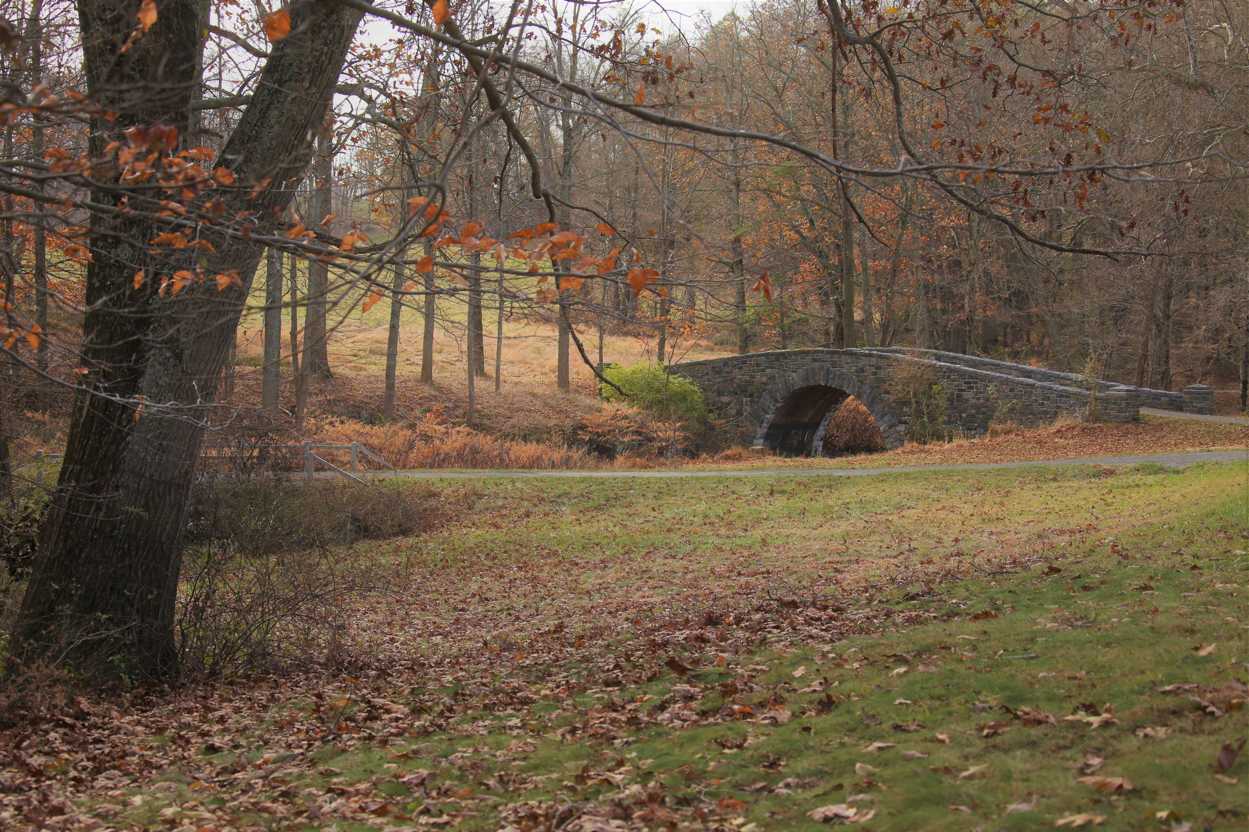 Rockefeller State Park Preserve