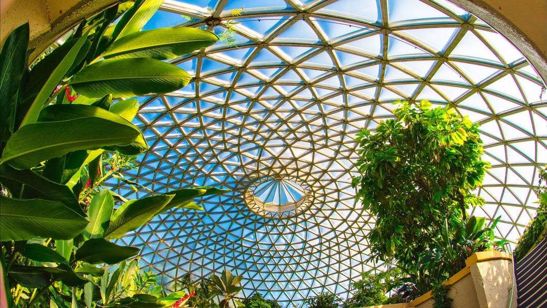  Visiting the Botanic Gardens Mount Coot-Tha