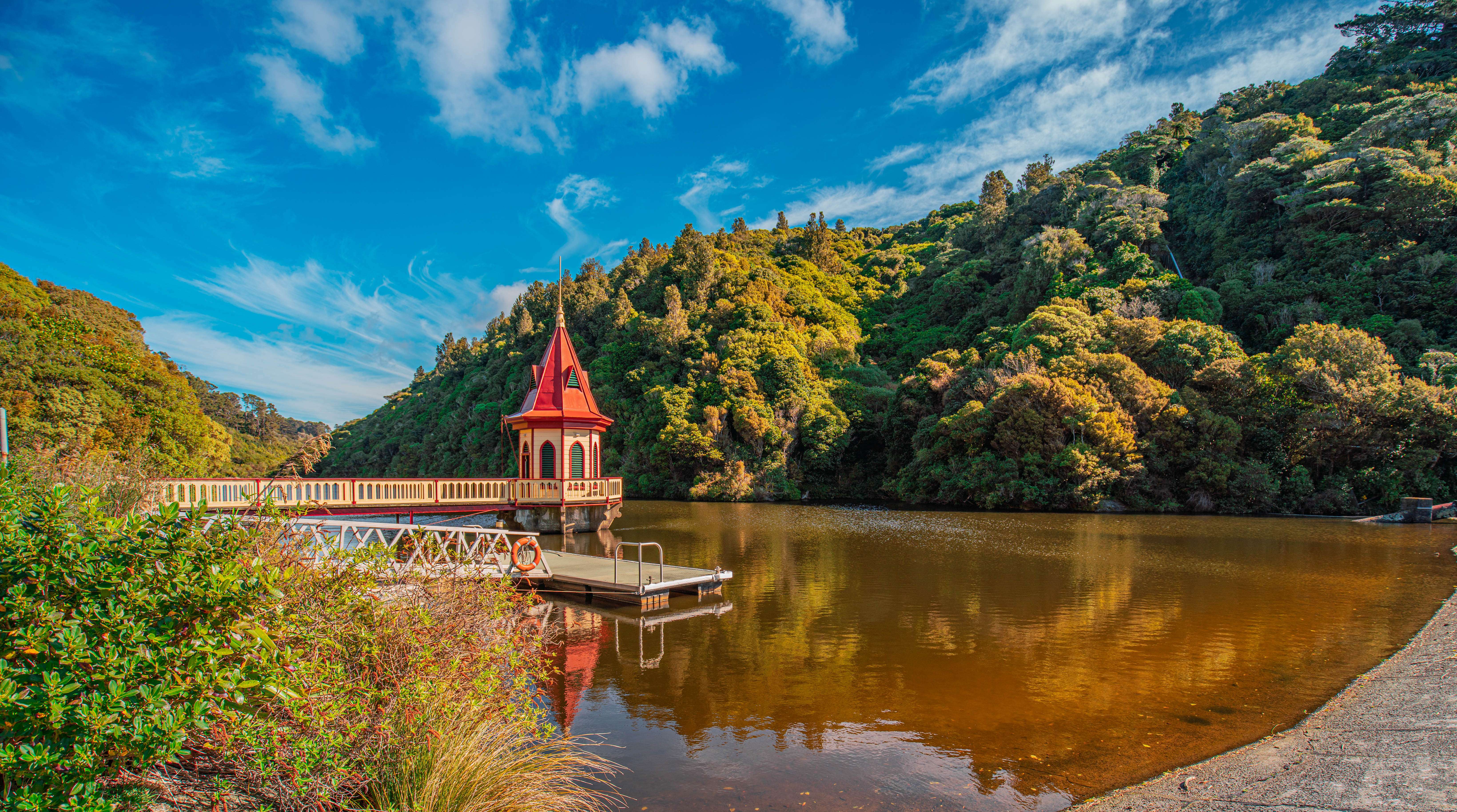 Discover the Zealandia Sanctuary