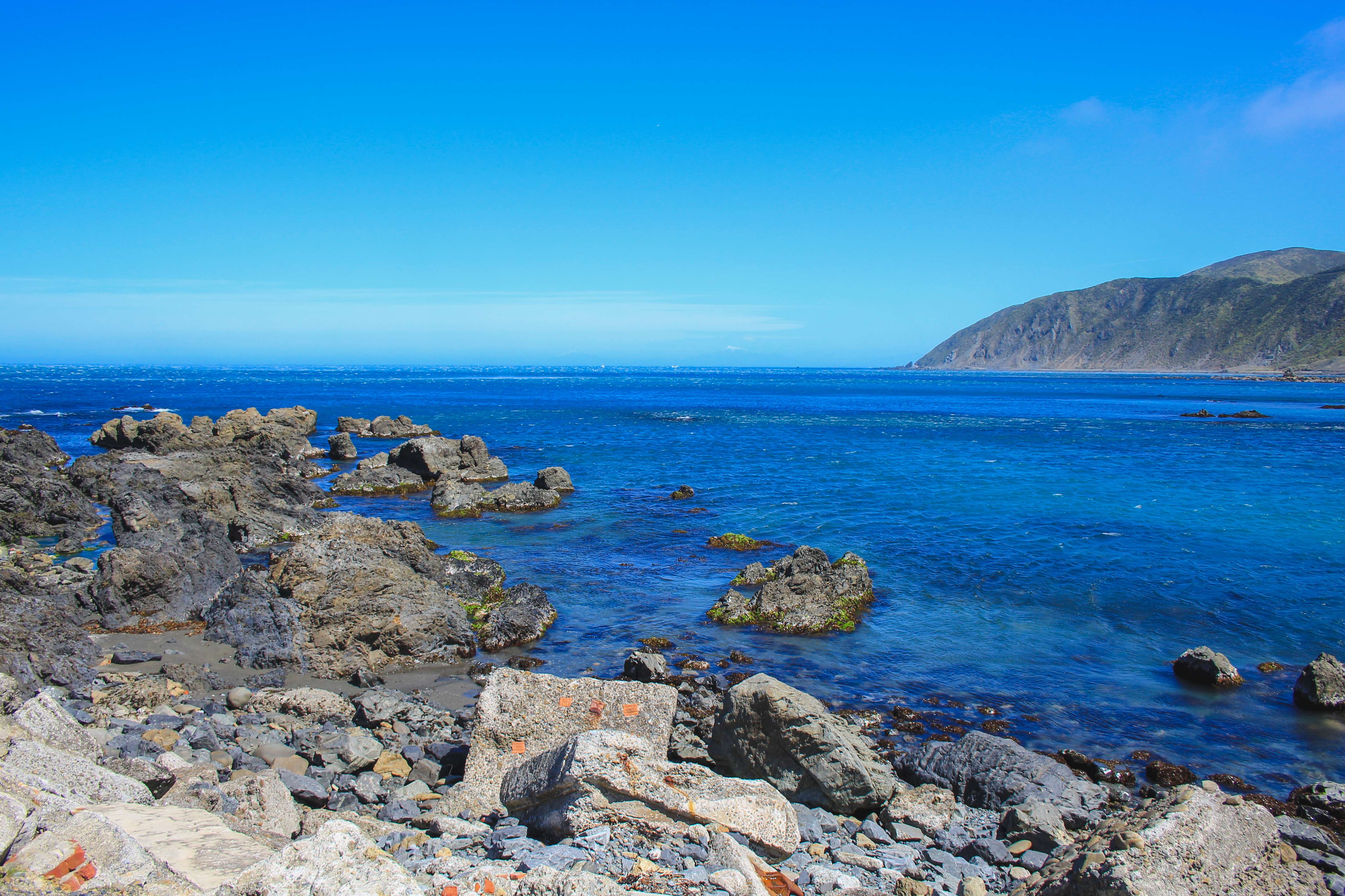 Visit the Taputeranga Marine Reserve's Island Bay Education Center