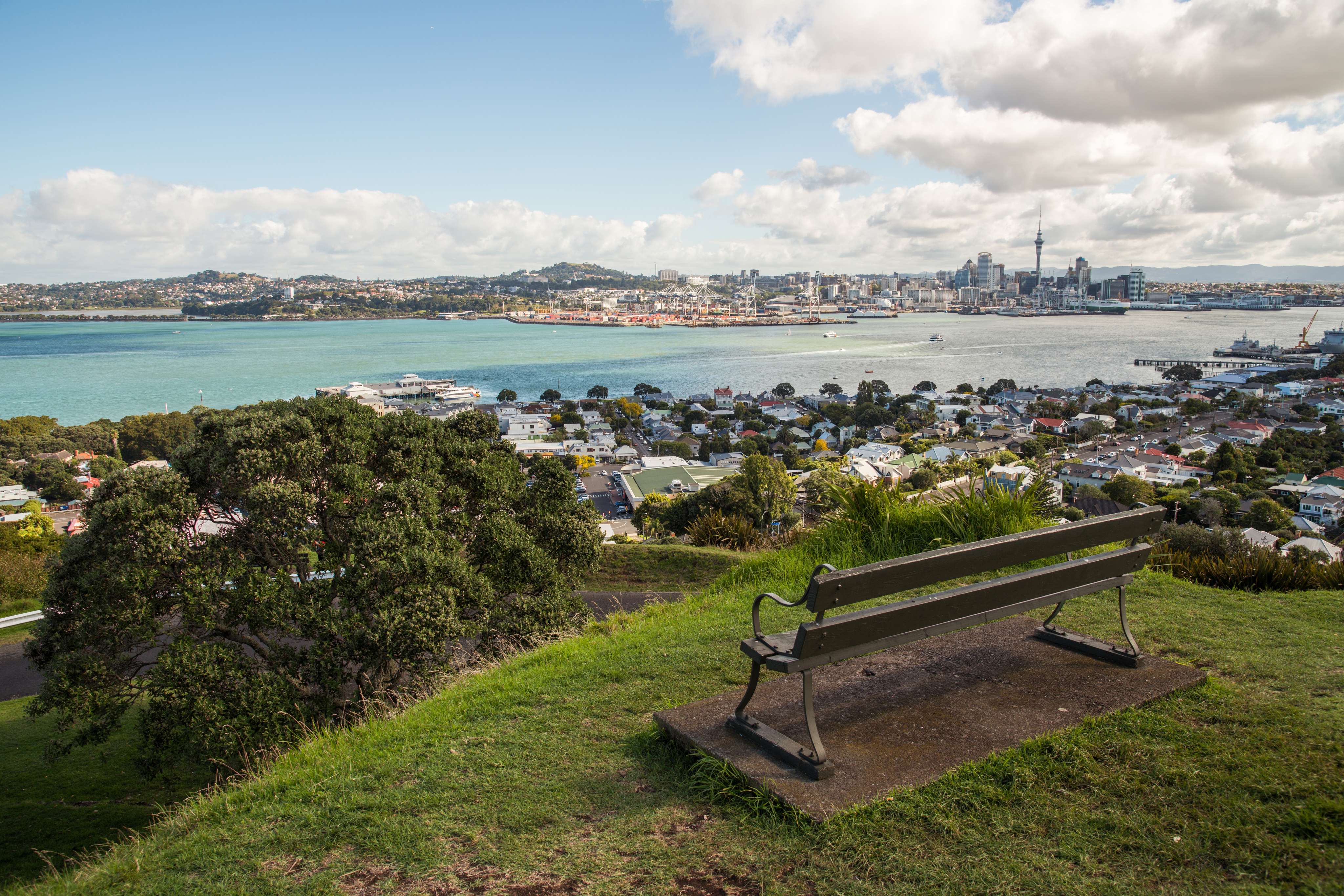 Take in the Views at the Top of Mount Victoria