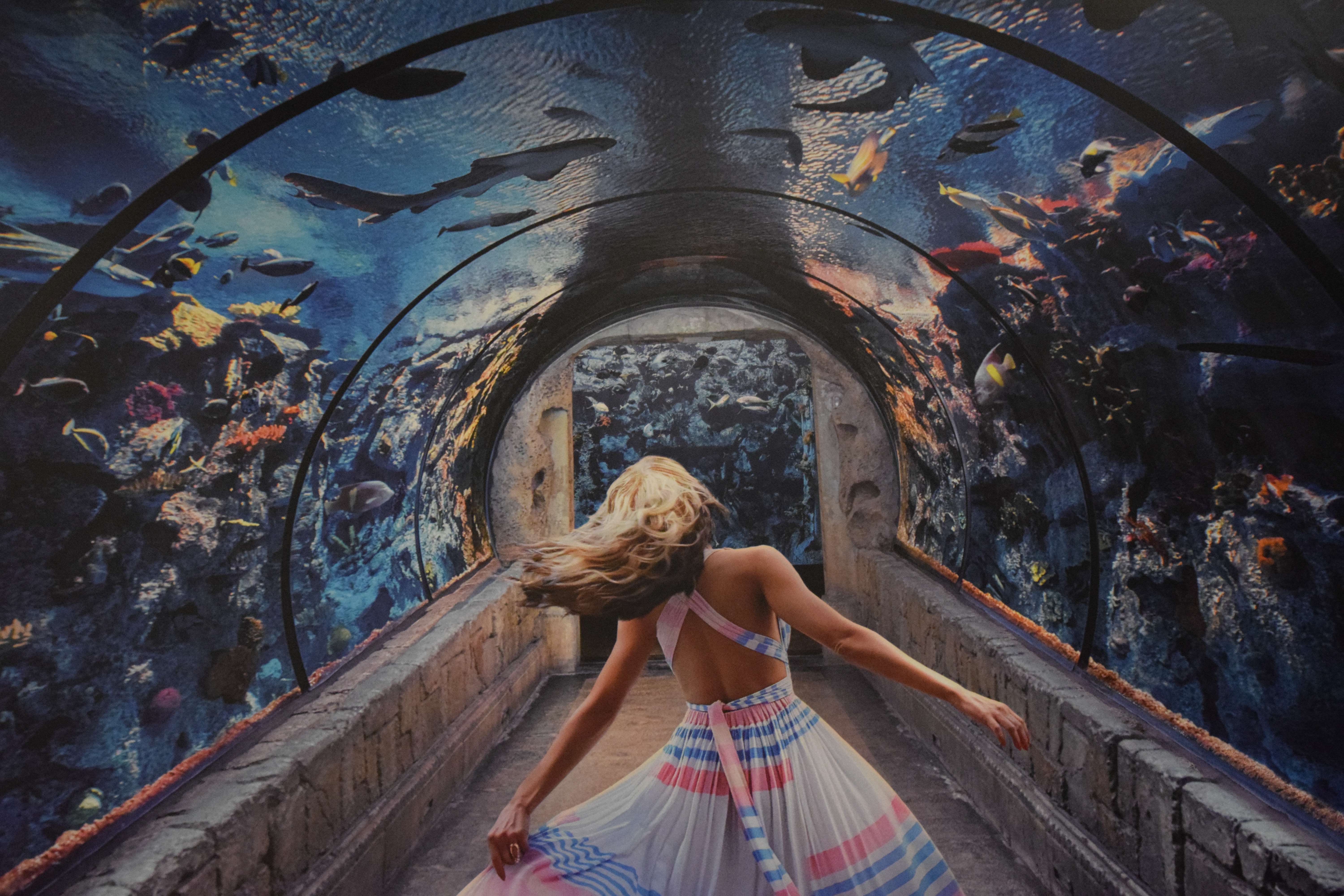 Explore Underwater Life at The Reef Aquarium