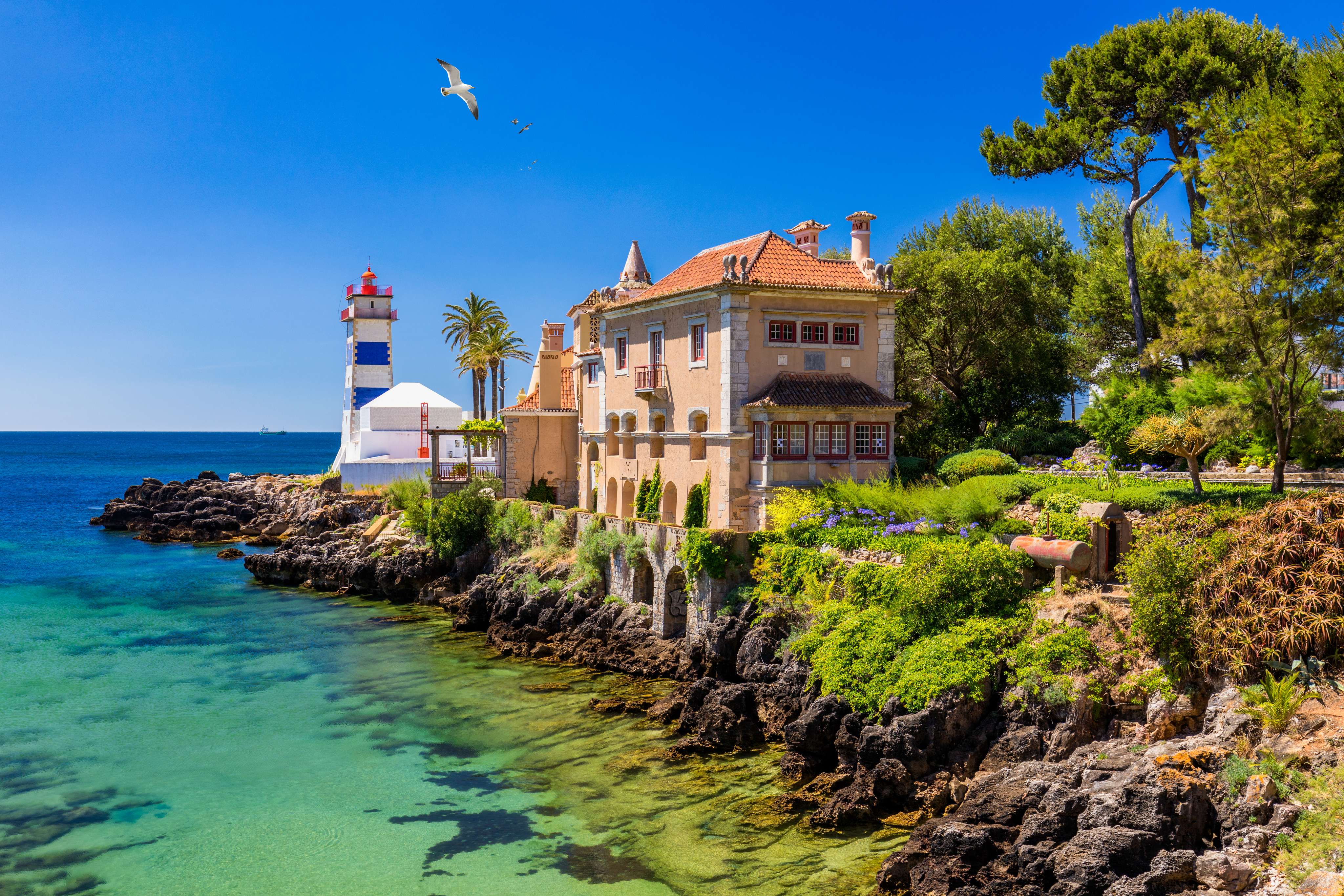 1671779542 cascais (2)