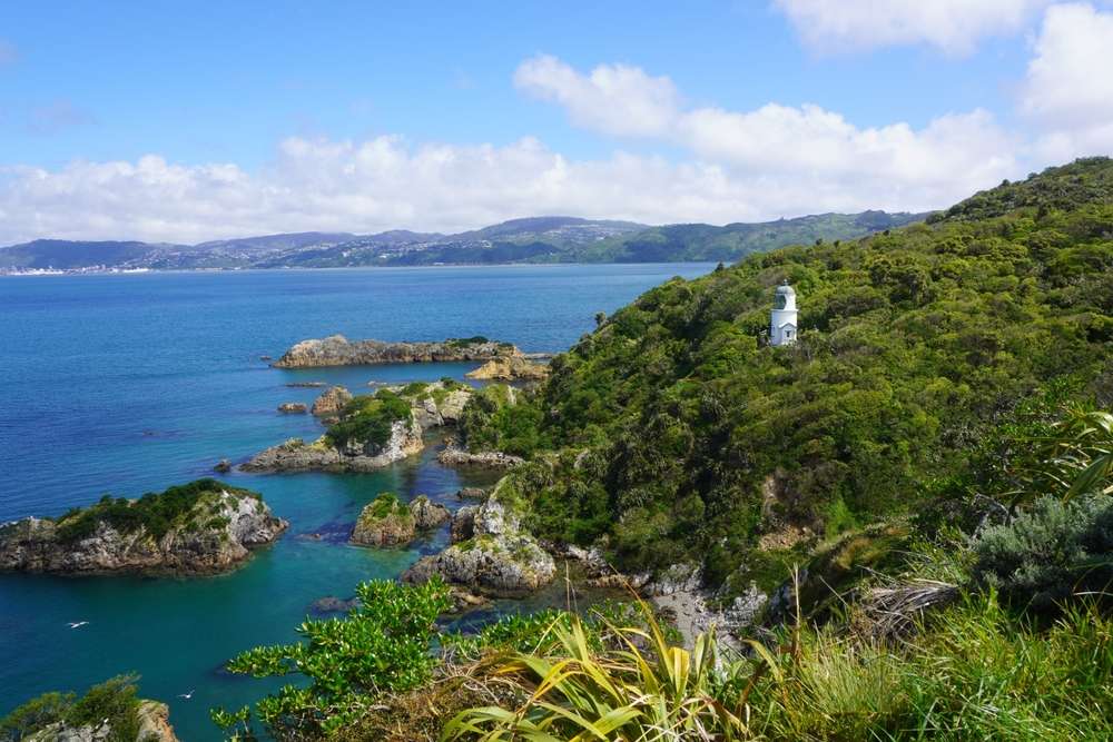 Take a Ship ‘n’ Chip Tour to Matiu