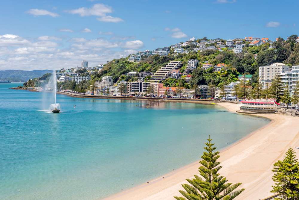 Take A Dip In Wellington's Bays