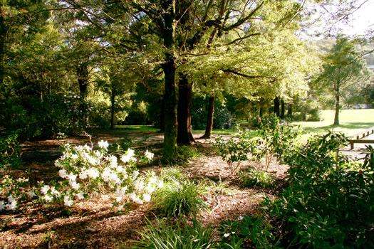 Visit Harcourt Holiday Park