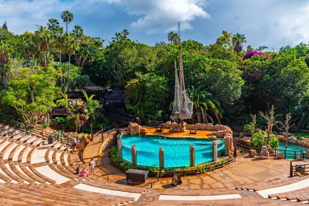 Enjoy at Jungle Park