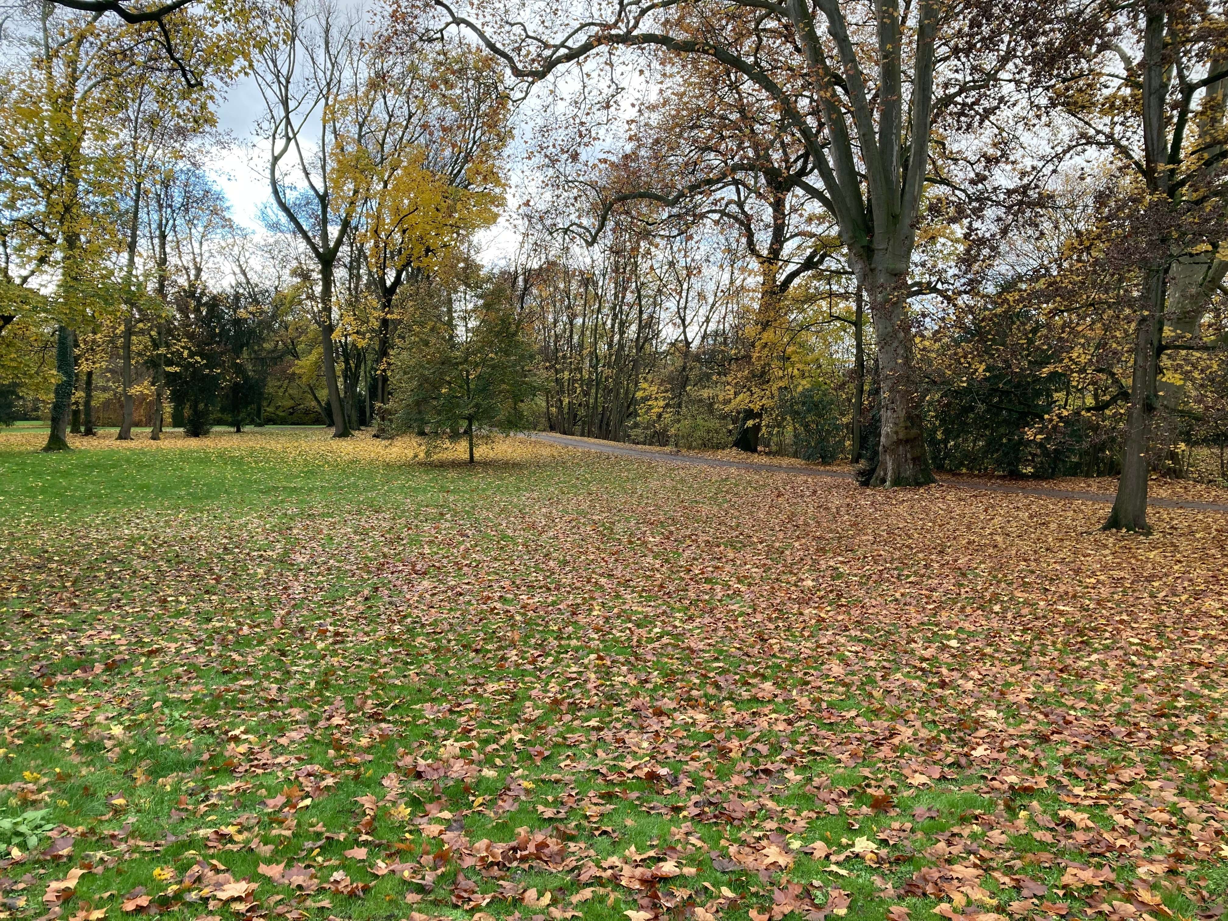 Go For Frankfurt City Forest