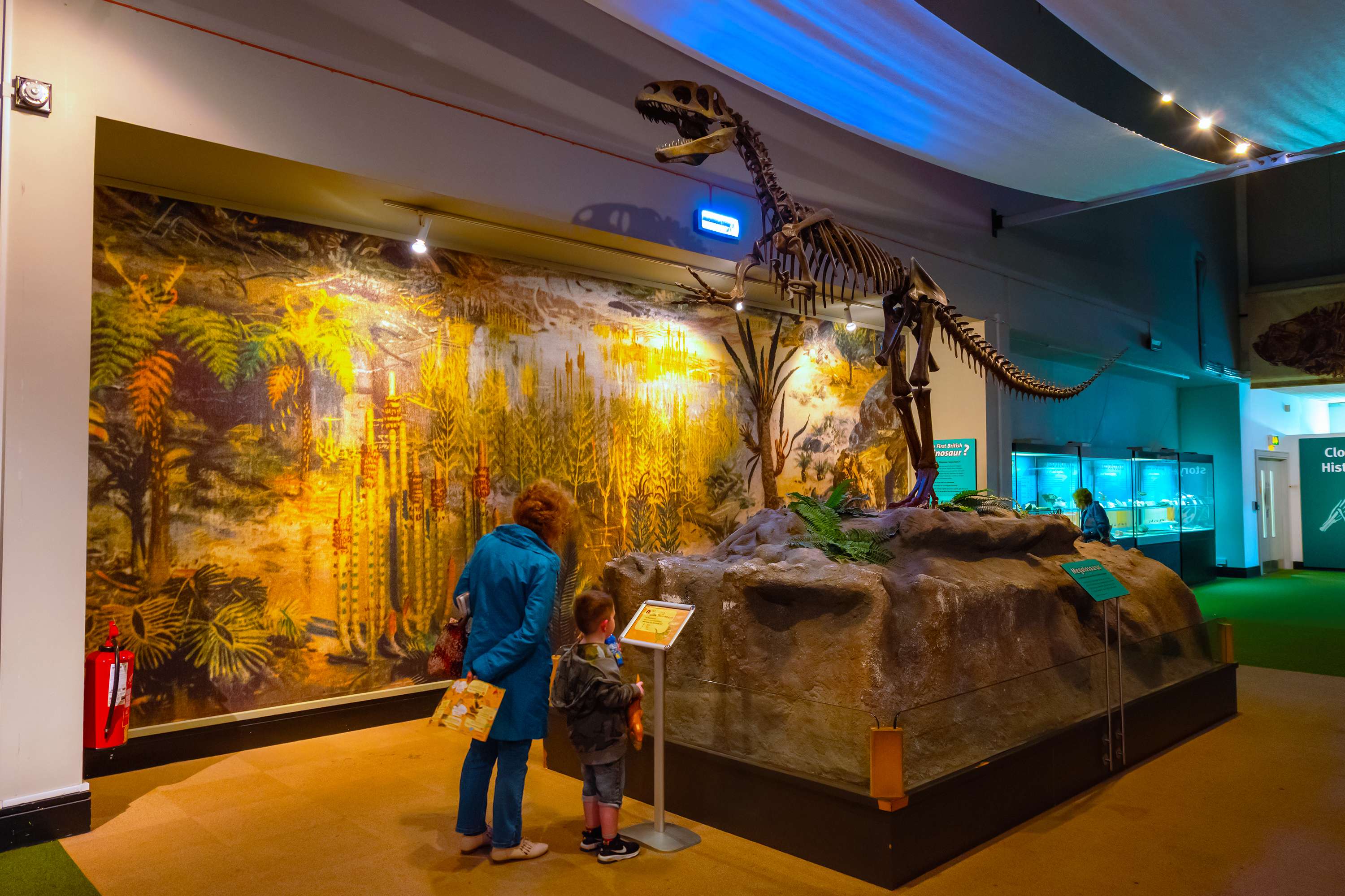 Discover The Treasures At World Museum