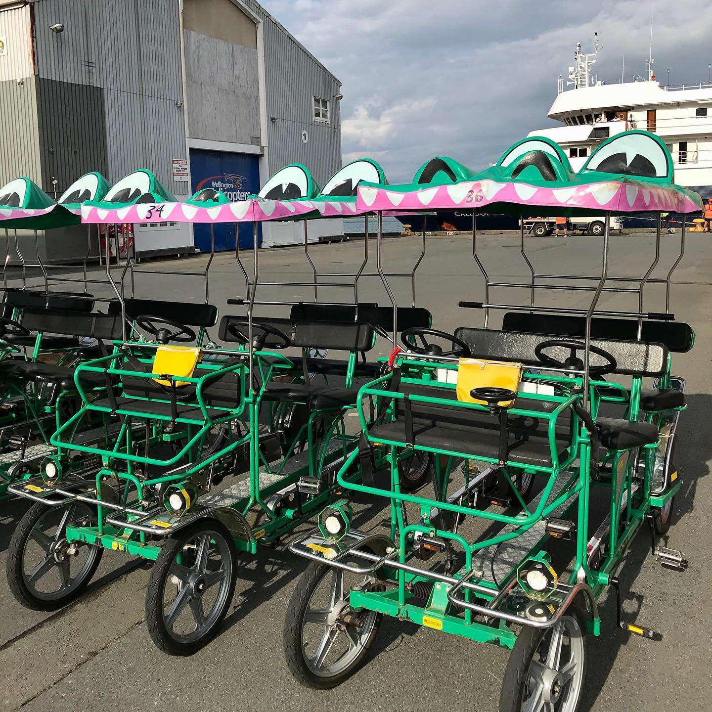 Take a ride on Wellington Crocodile Bikes