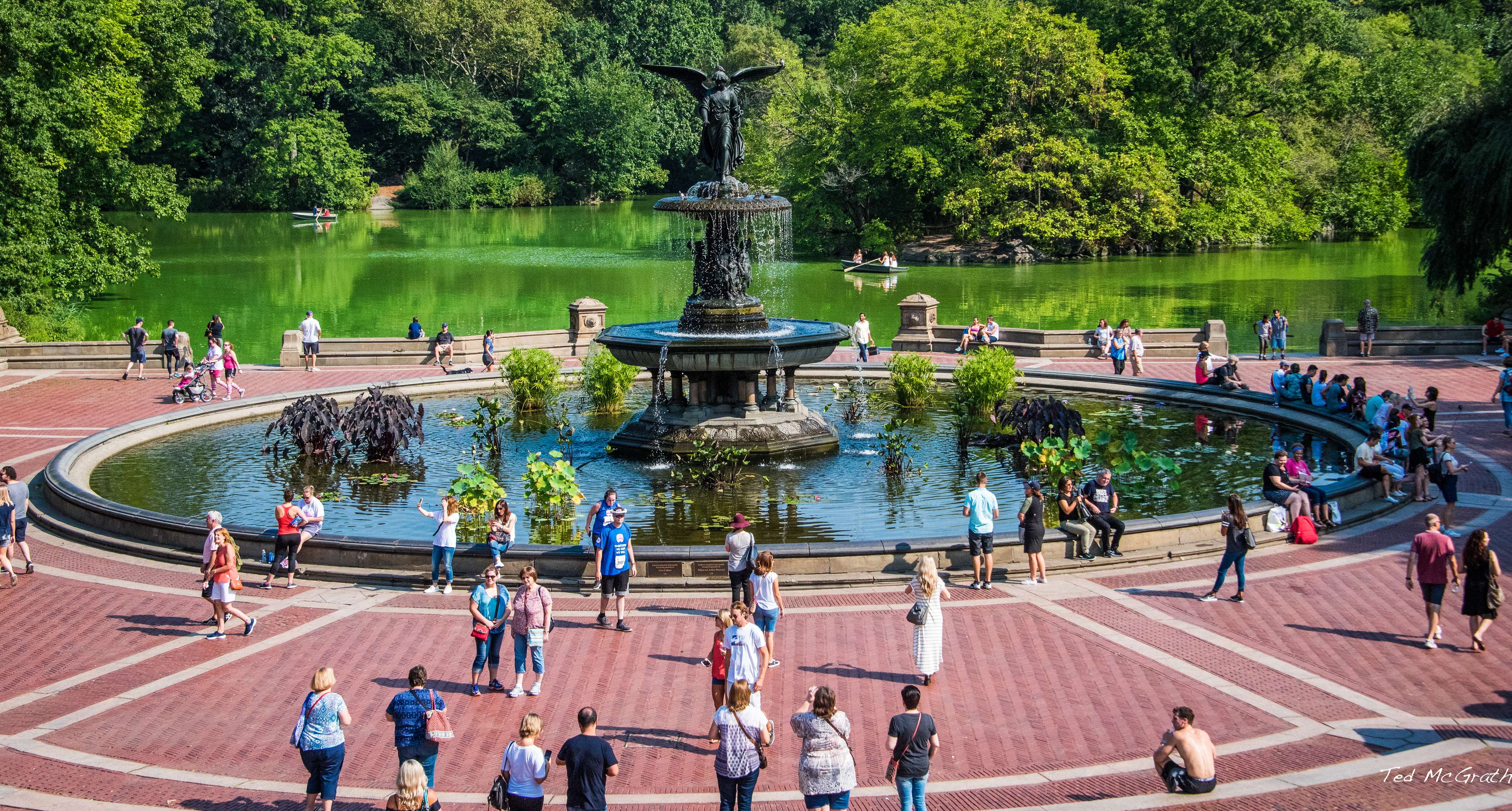 Explore Central Park