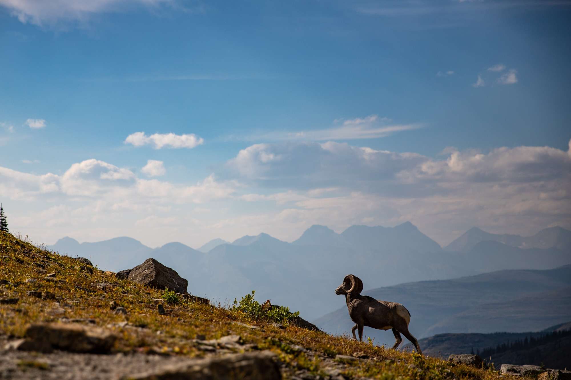 Glacier National Park, Montana