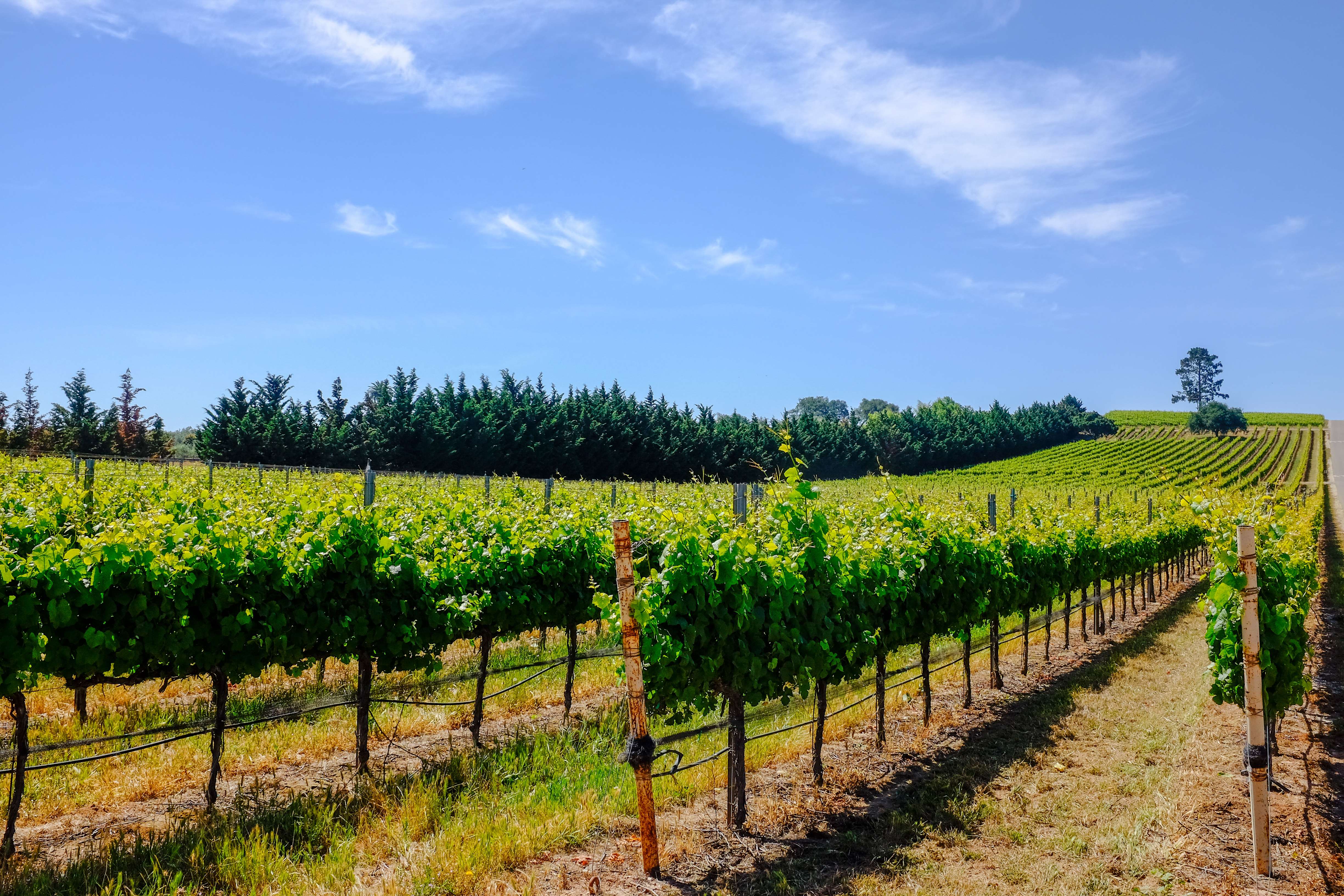 Santa Ynez Valley, California