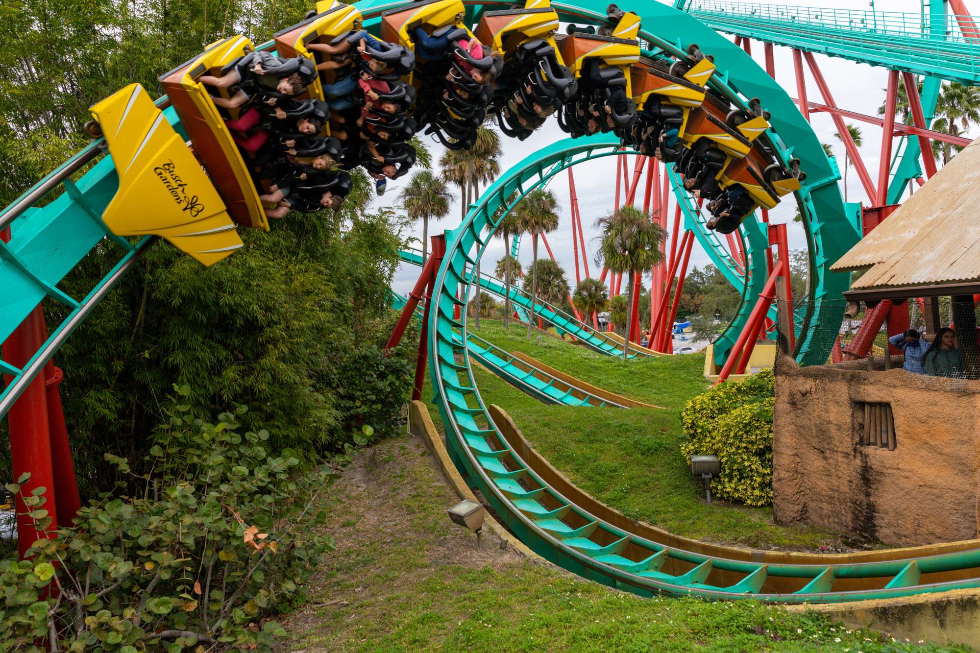 Busch Gardens Tampa Bay