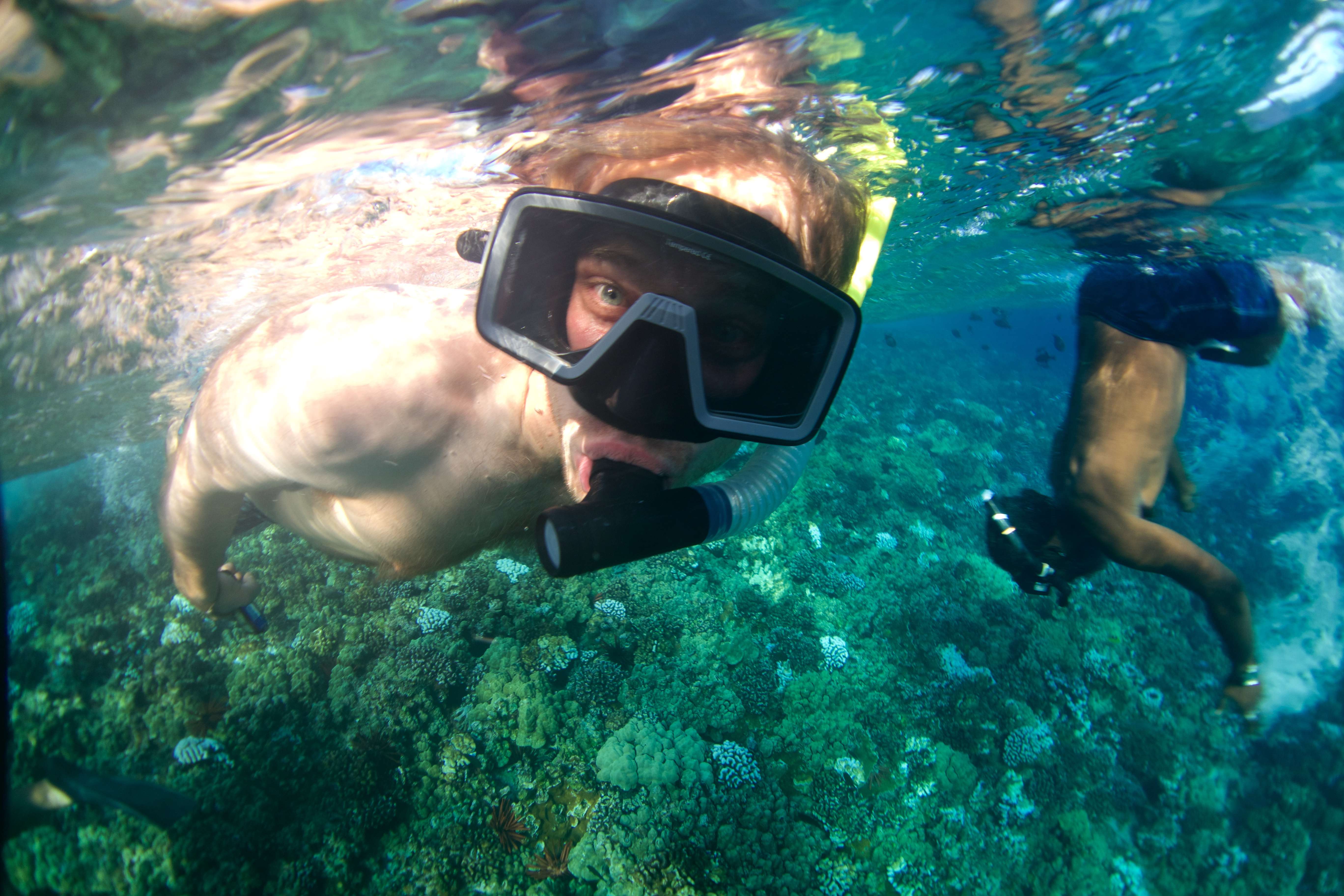  Snorkeling at Key Largo National Marine Sanctuary