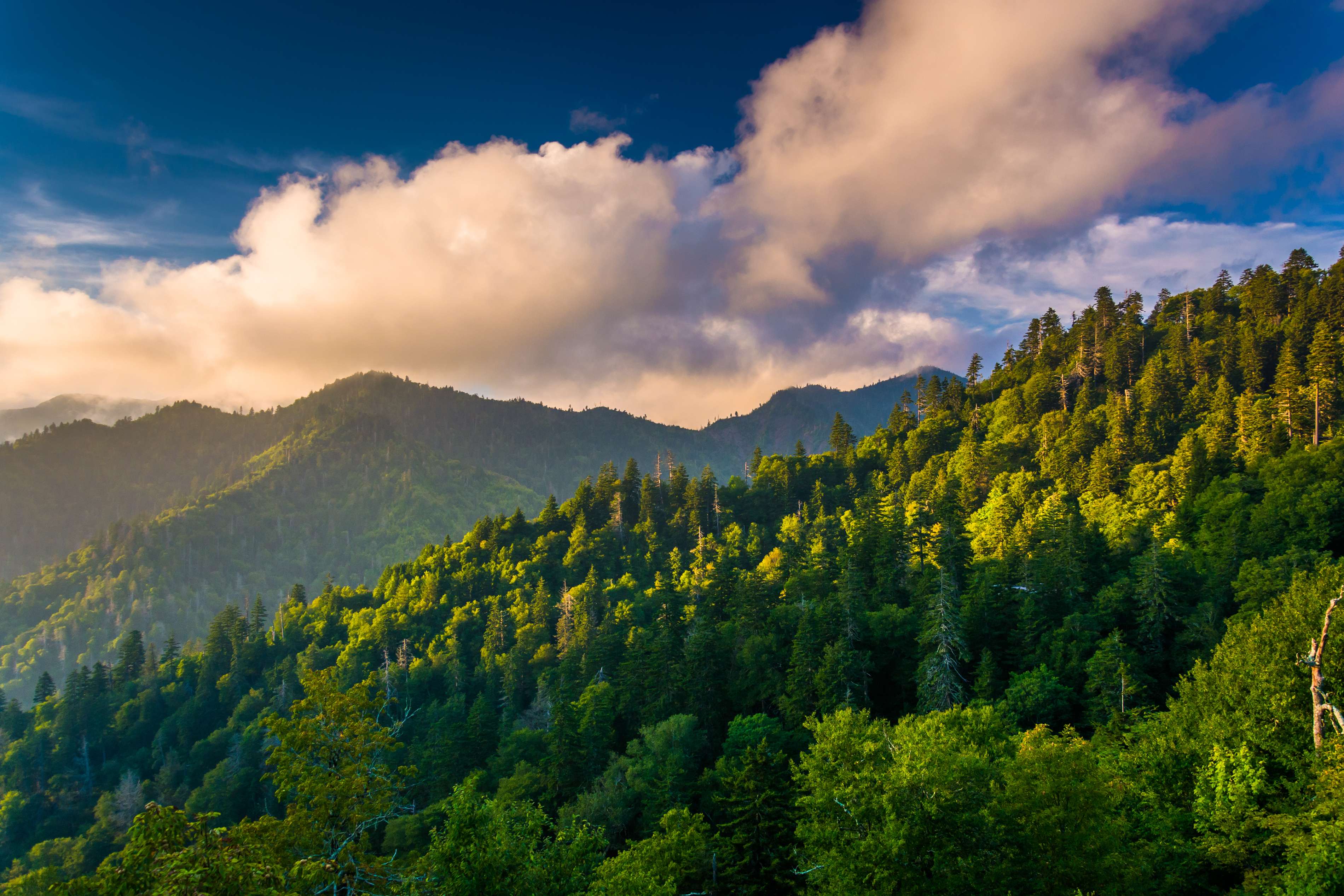 Great Smoky Mountains National Park