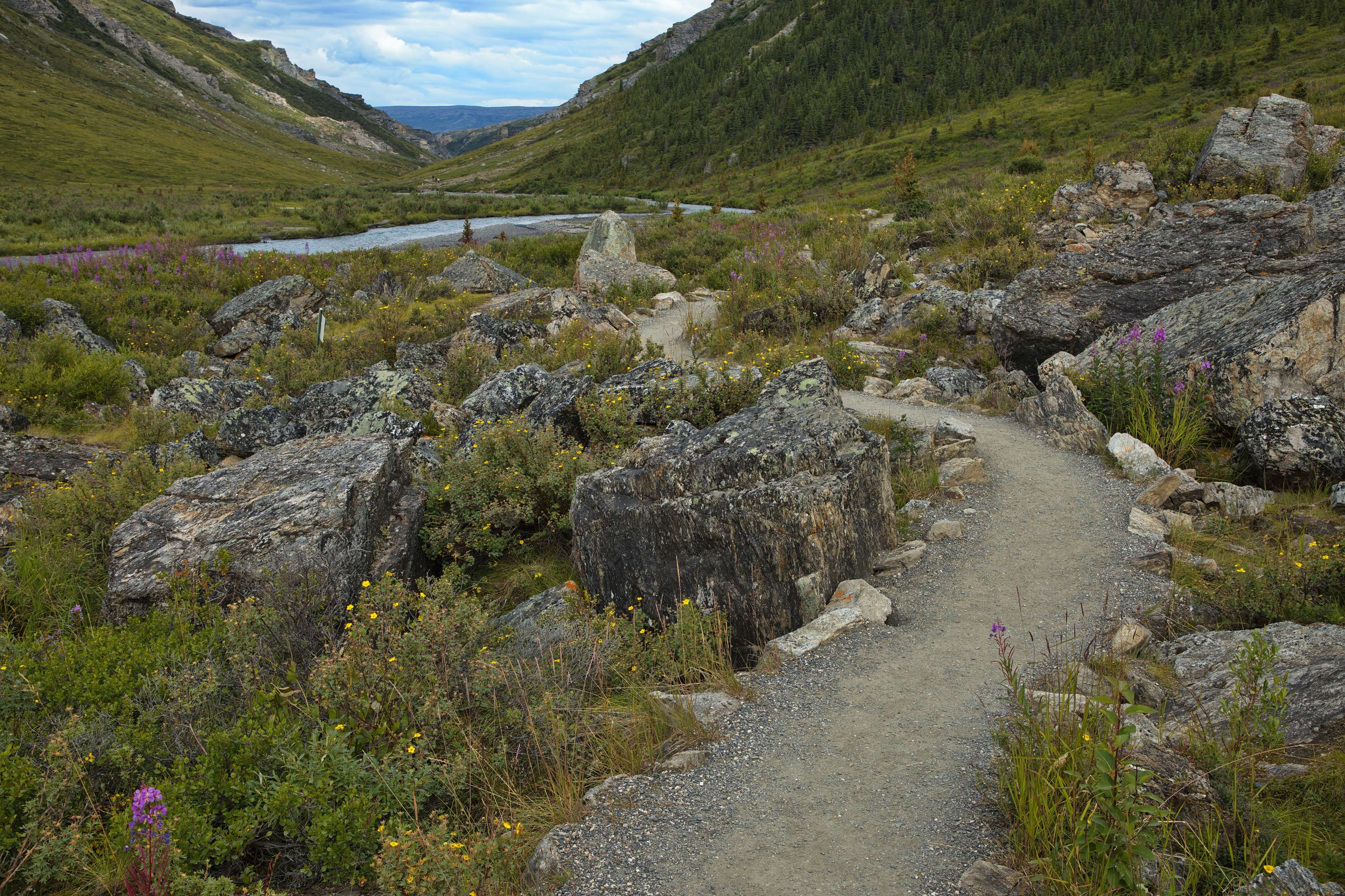 Denali National Park, Alaska
