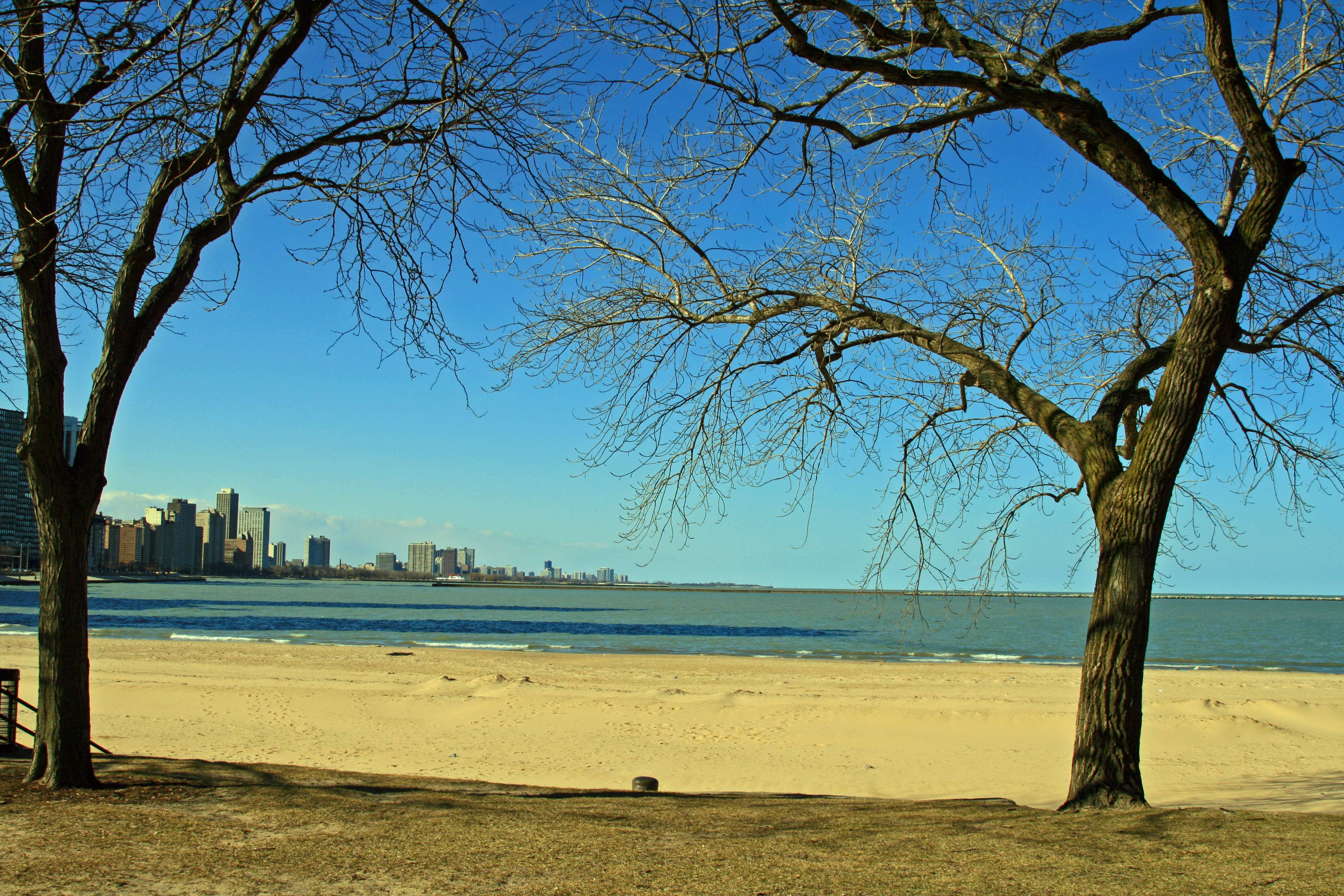 Oak Street Beach