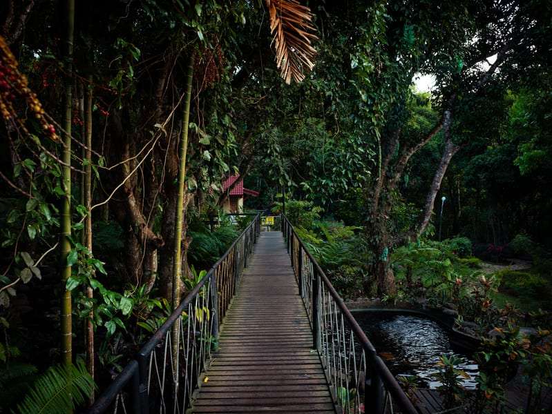 Mangapohue Natural Bridge