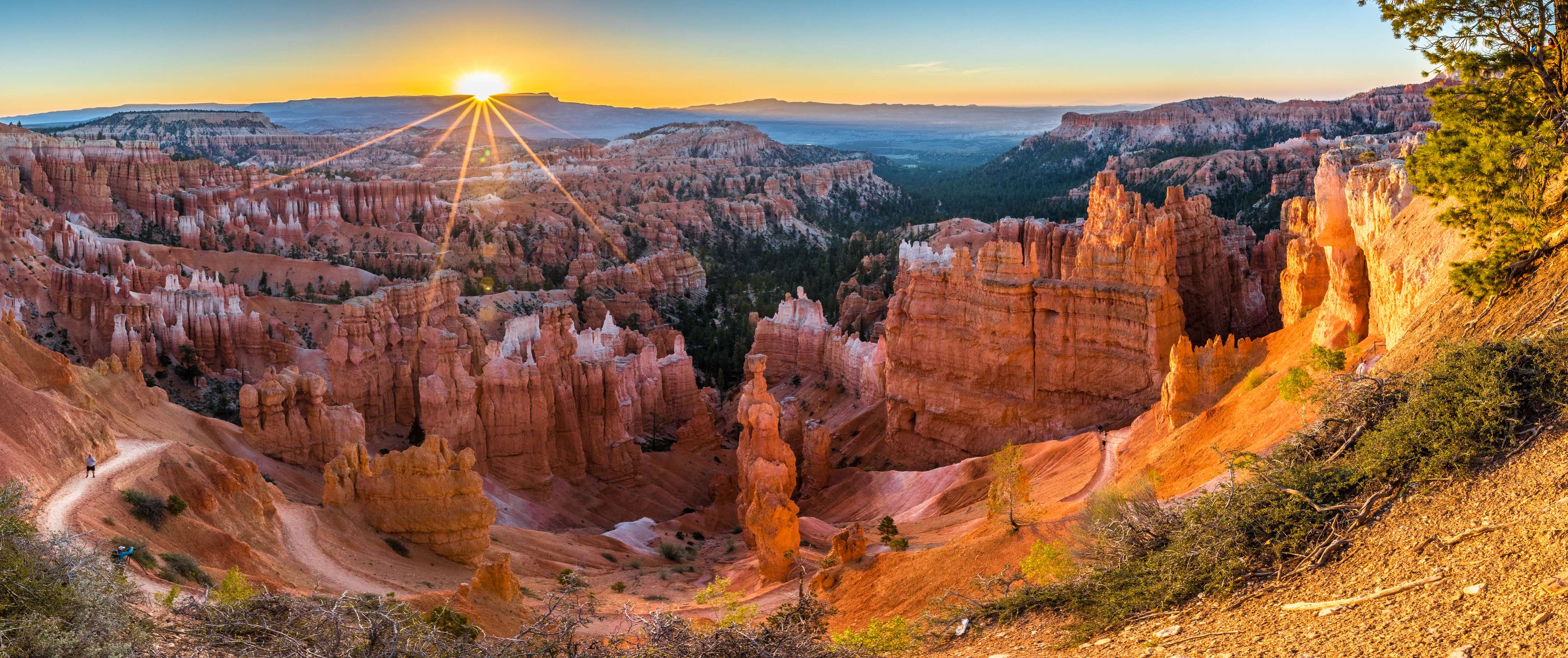 20 Best National Parks in the USA That Are Worth Taking A Trip To!
