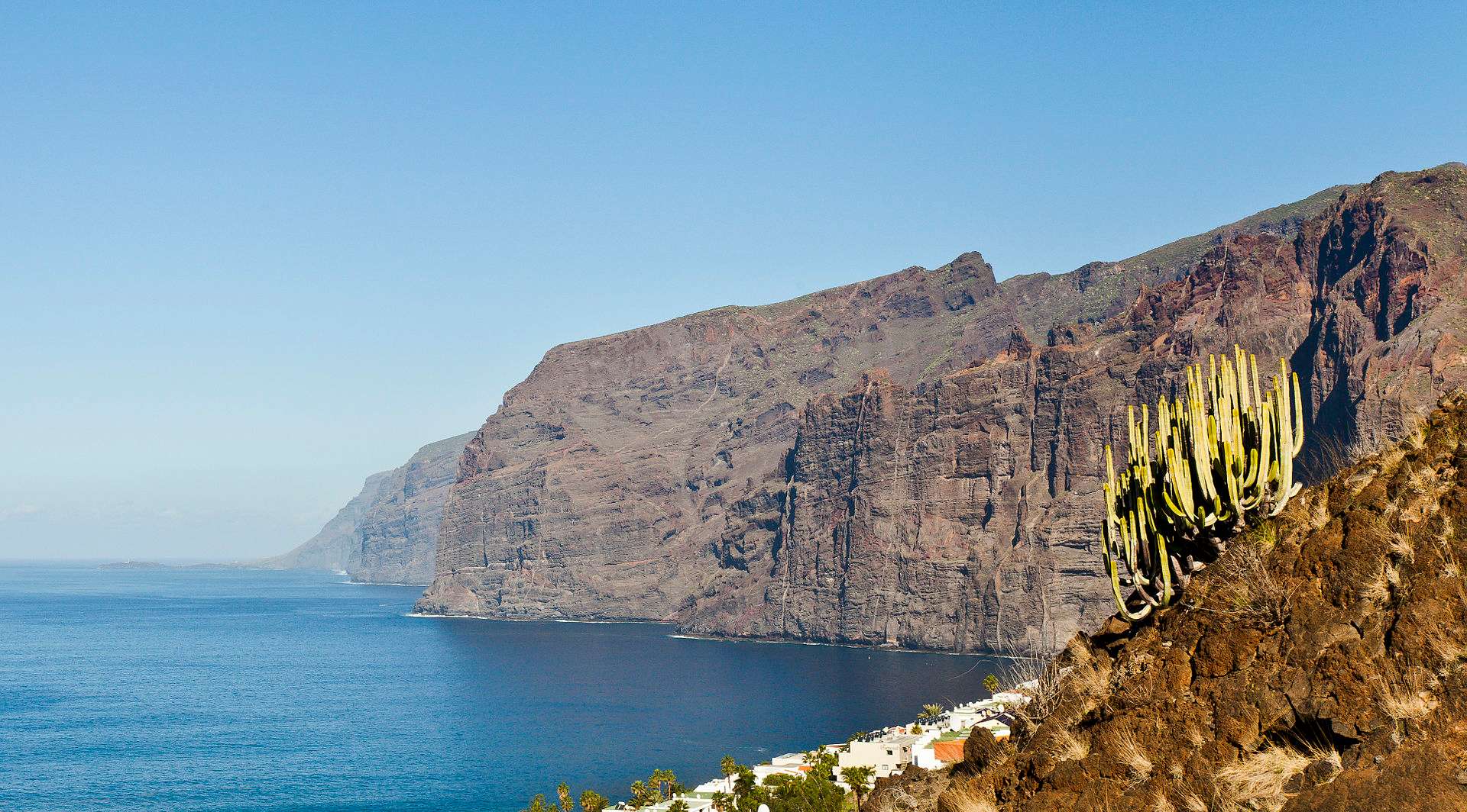 See Marine Life at Los Gigantes Cliffs