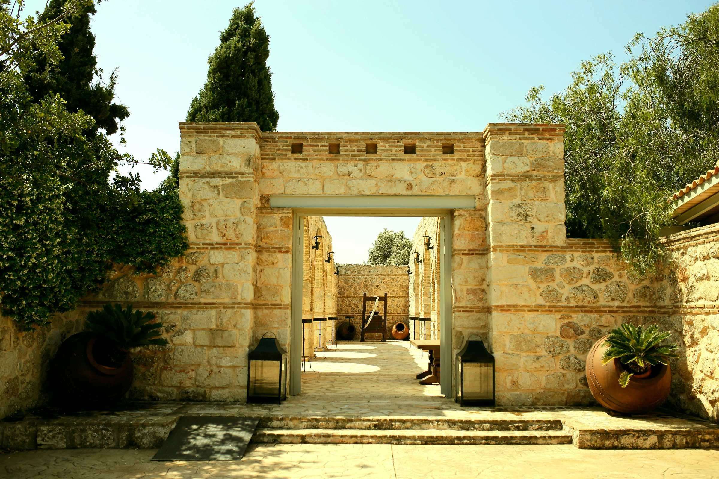 Go for a Wine Tasting tour