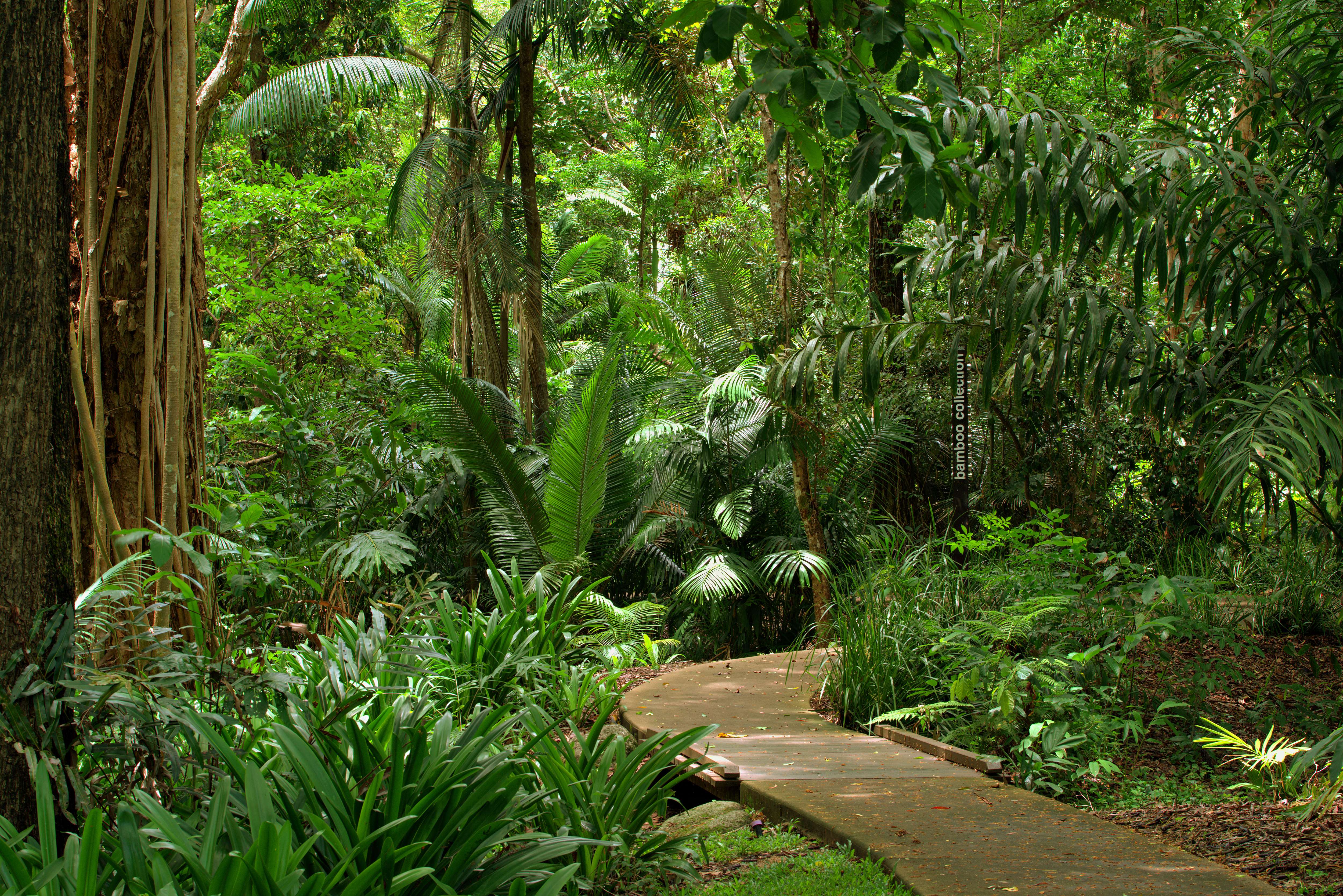 Go to Cairns Botanic Gardens