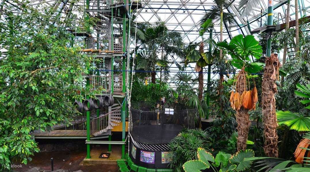 Visit Cairns Zoom & Wildlife Dome