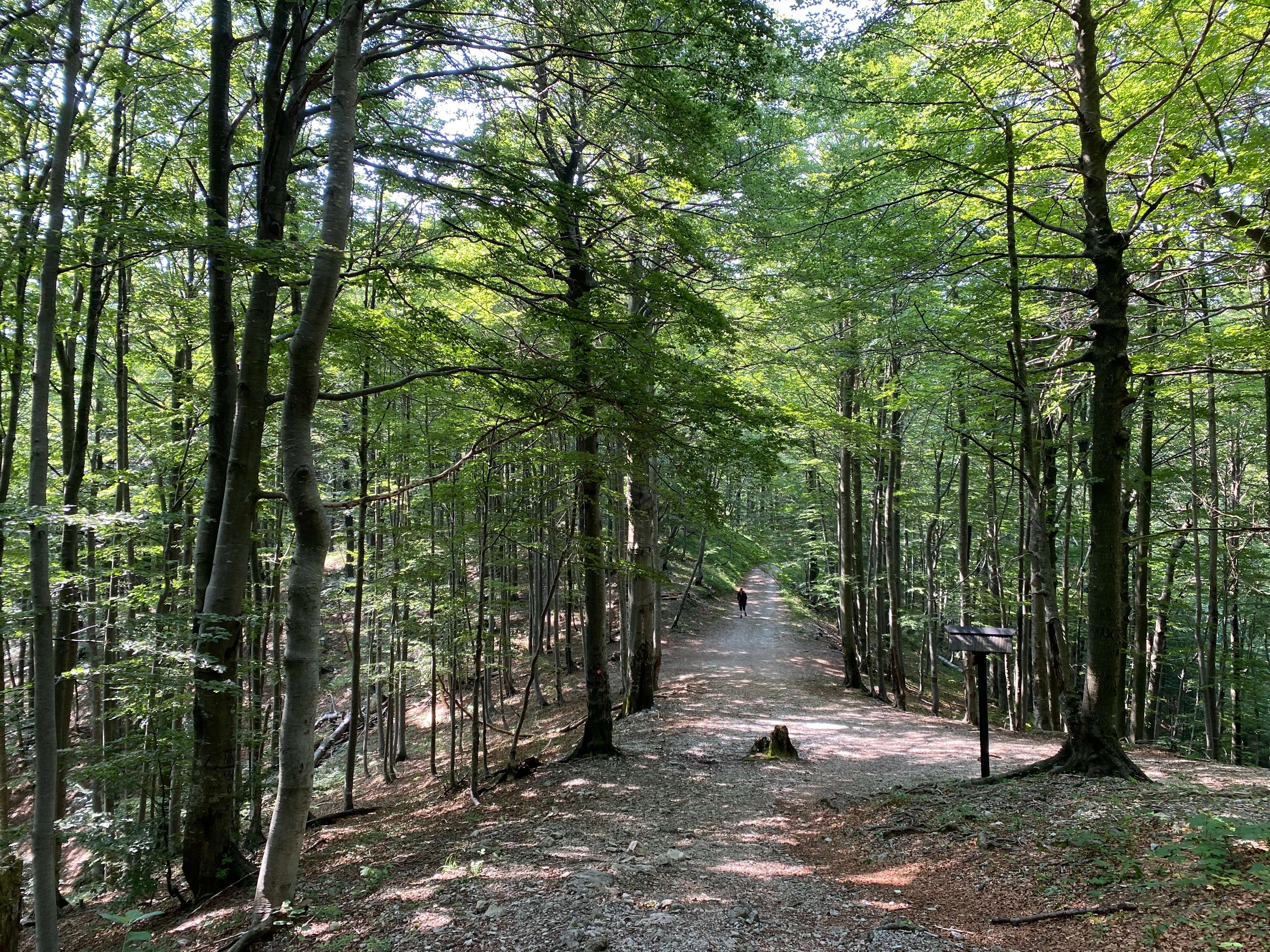  Risnjak National Park