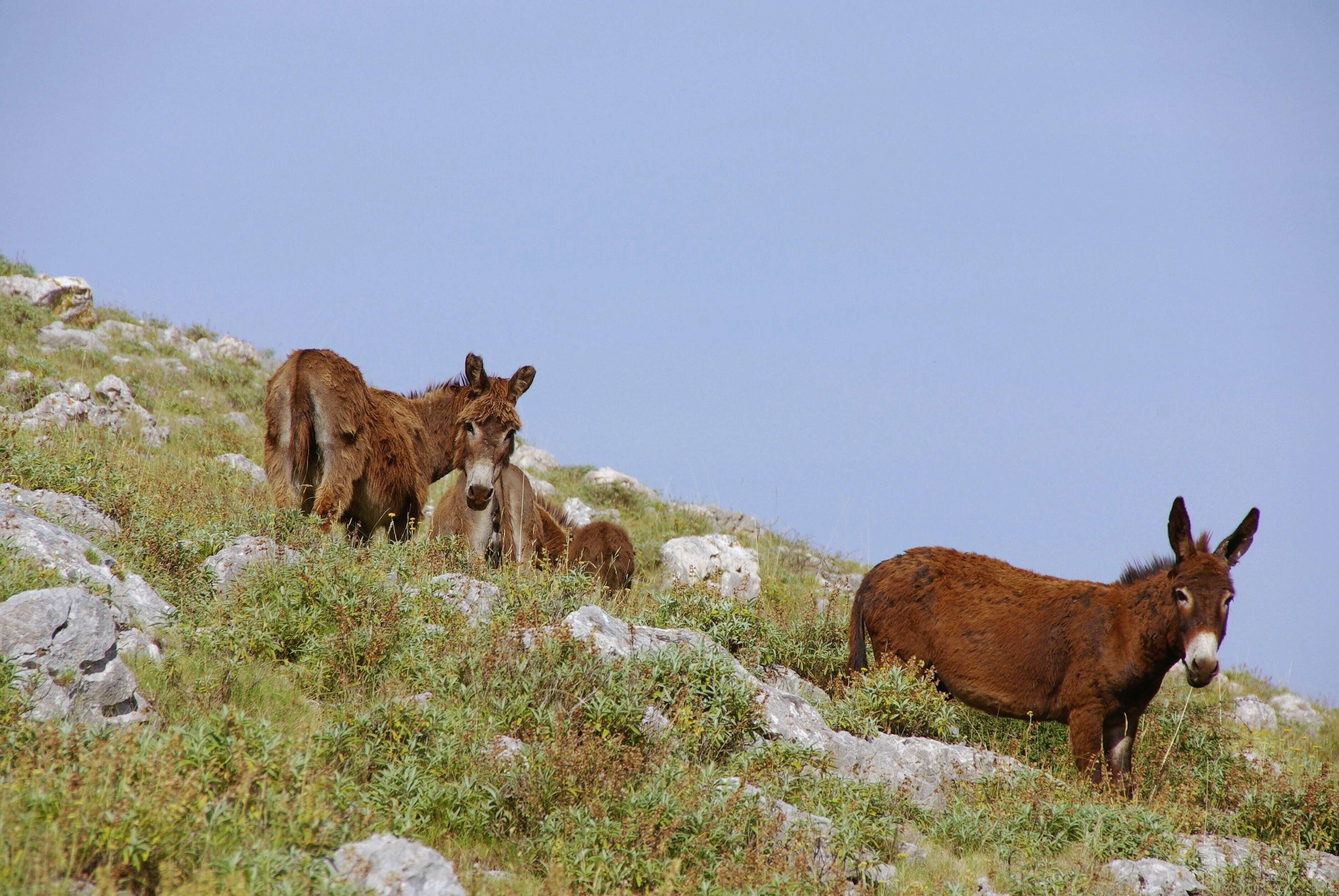  Kornati Islands National Park