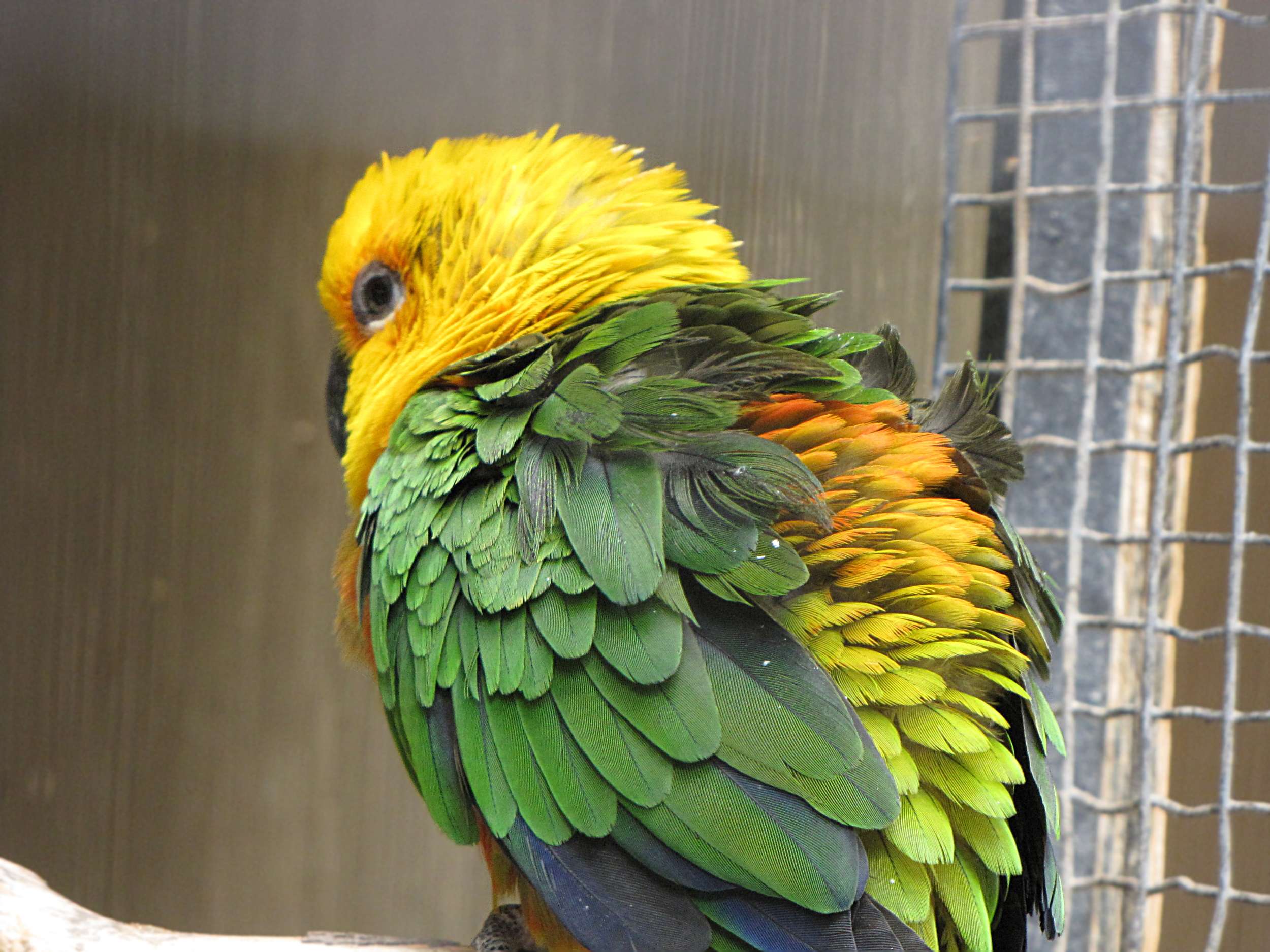 Southern Nevada Zoological-Botanical Park