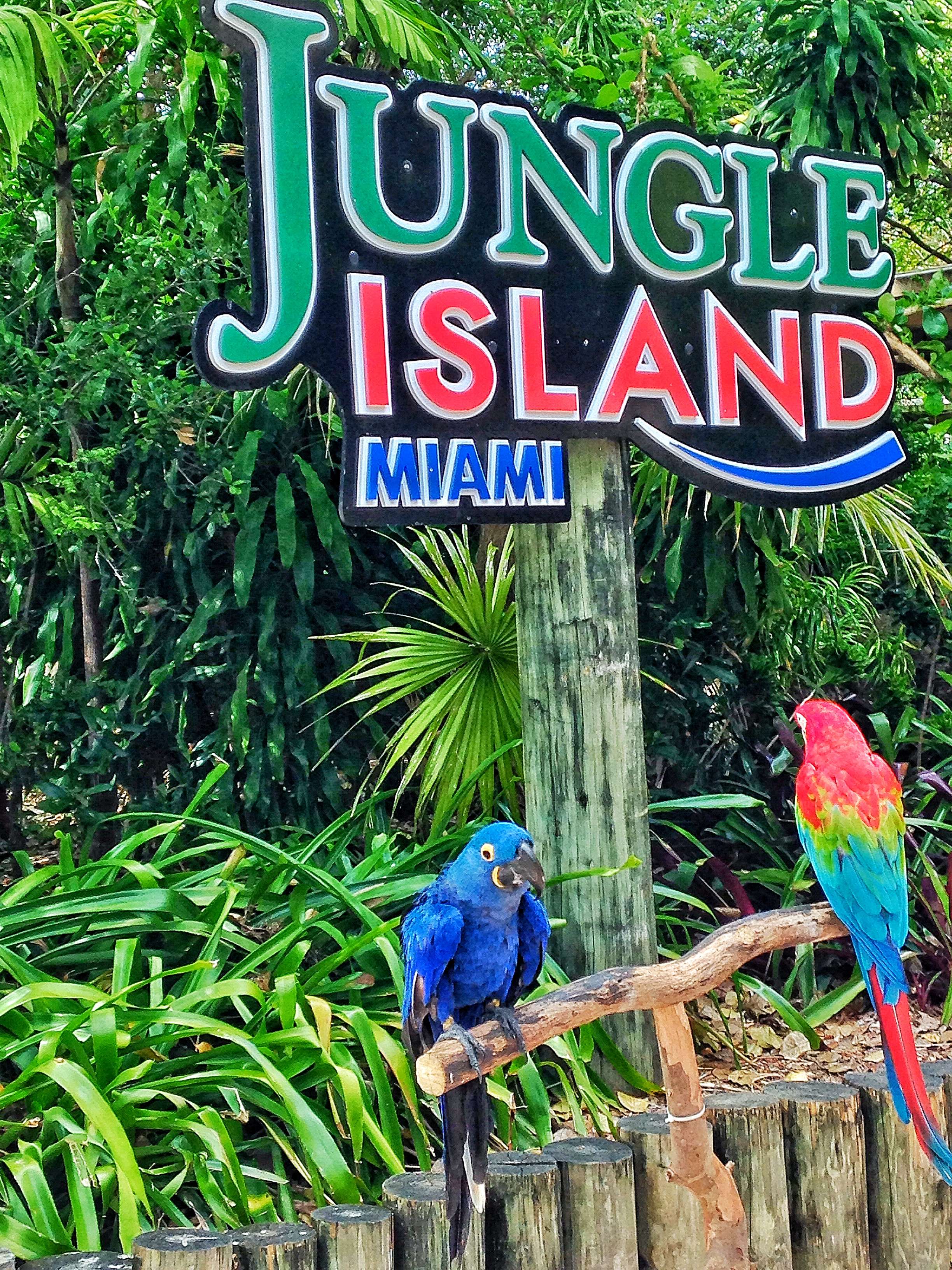 Encounter Animals at Jungle Island
