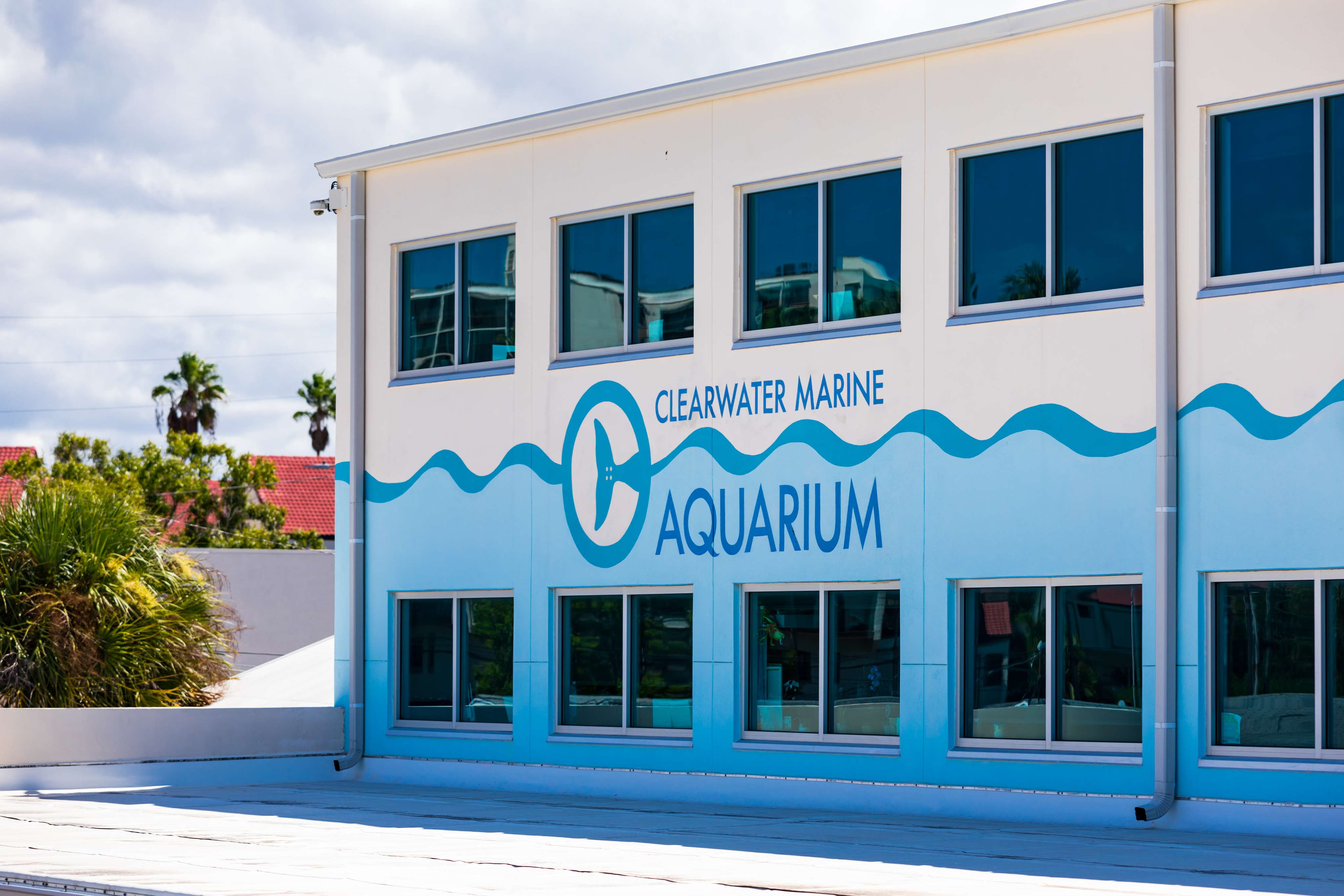 Clearwater Marine Aquarium, Florida