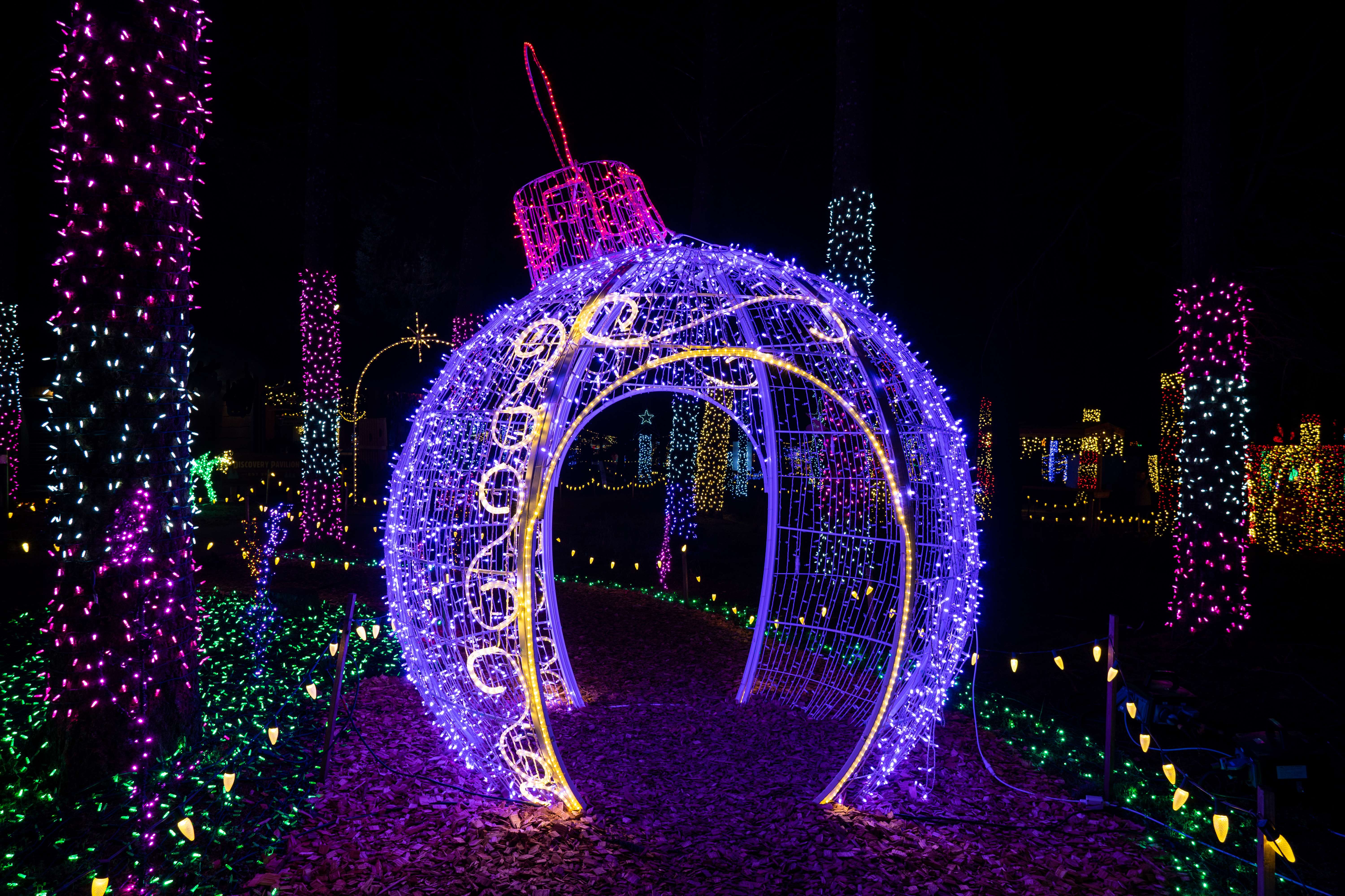 Witness the Gorgeous Christmas Light Show At Saks 5th Avenue