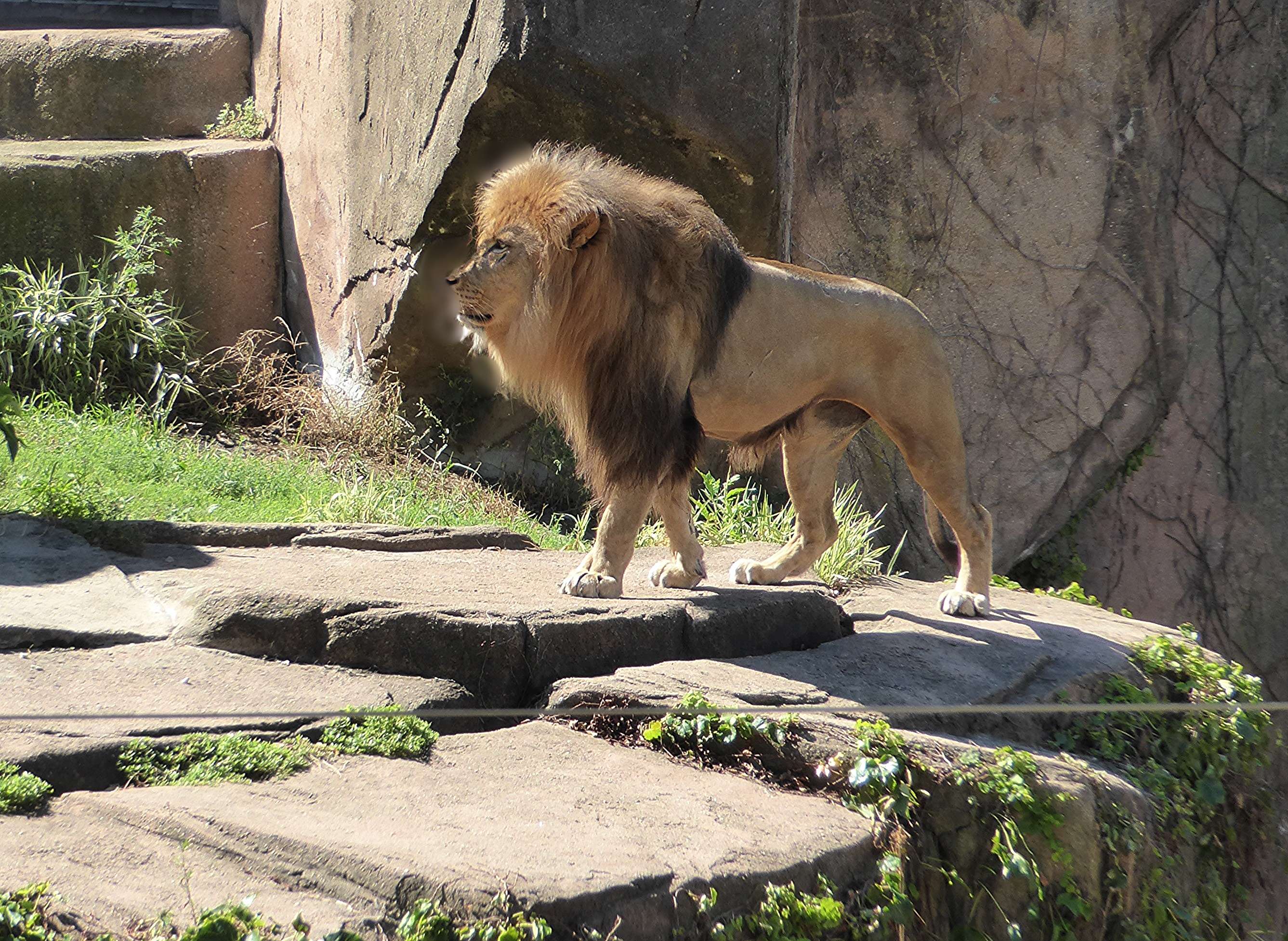 Visit Lincoln Park Zoo