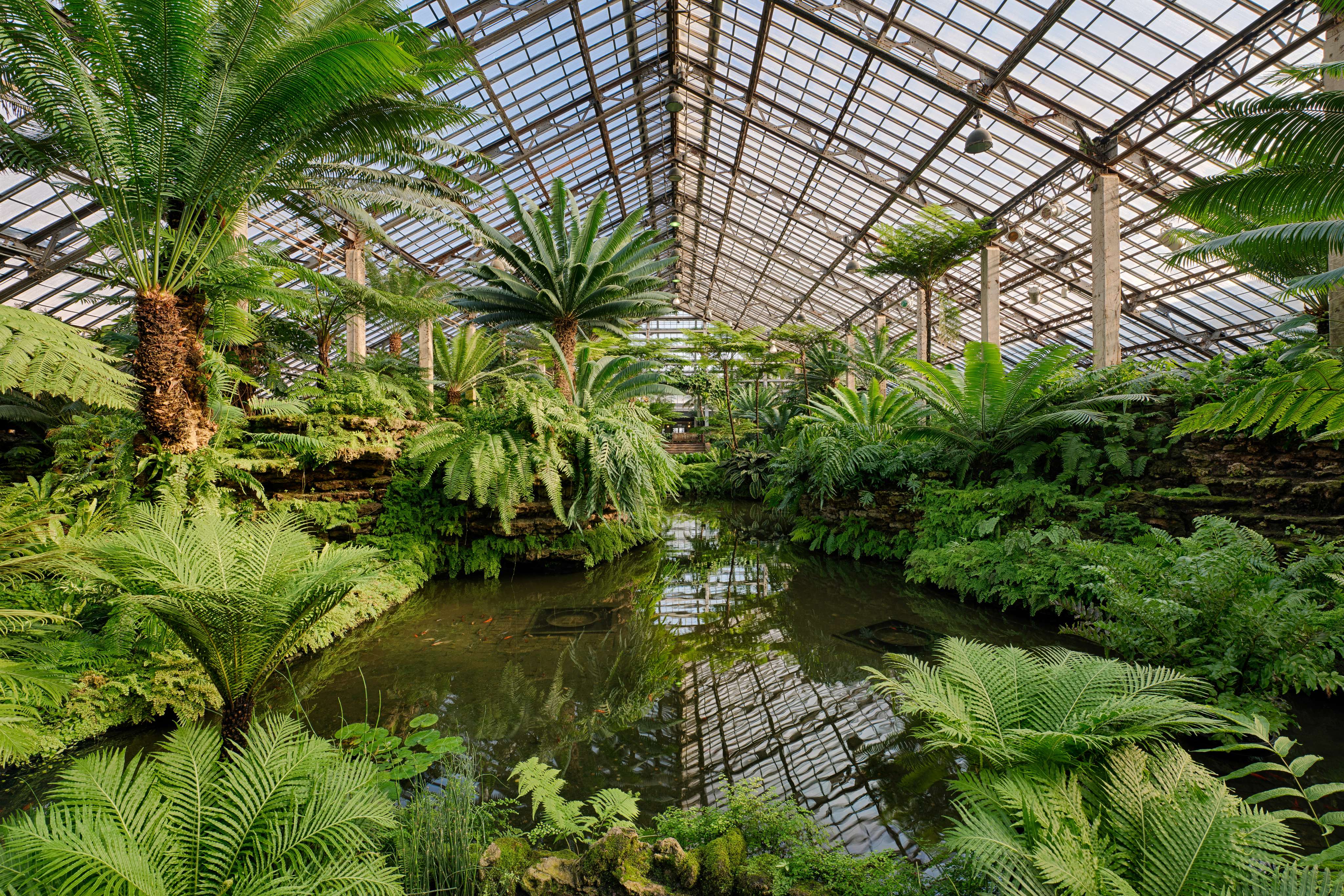 Visit Garfield Park Conservatory
