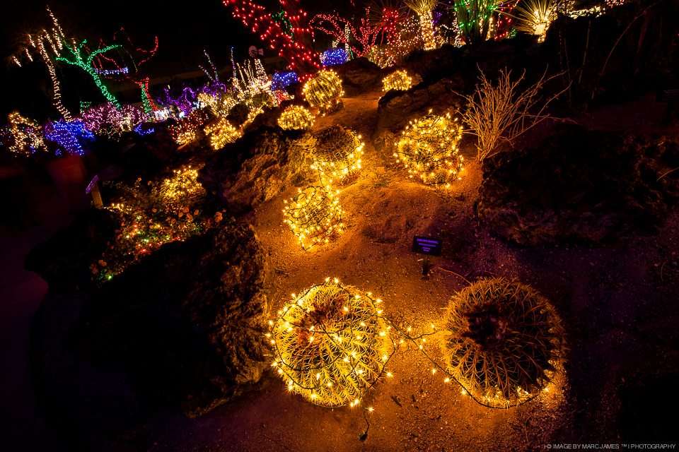 Have Fun at Ethel M Chocolate Factory