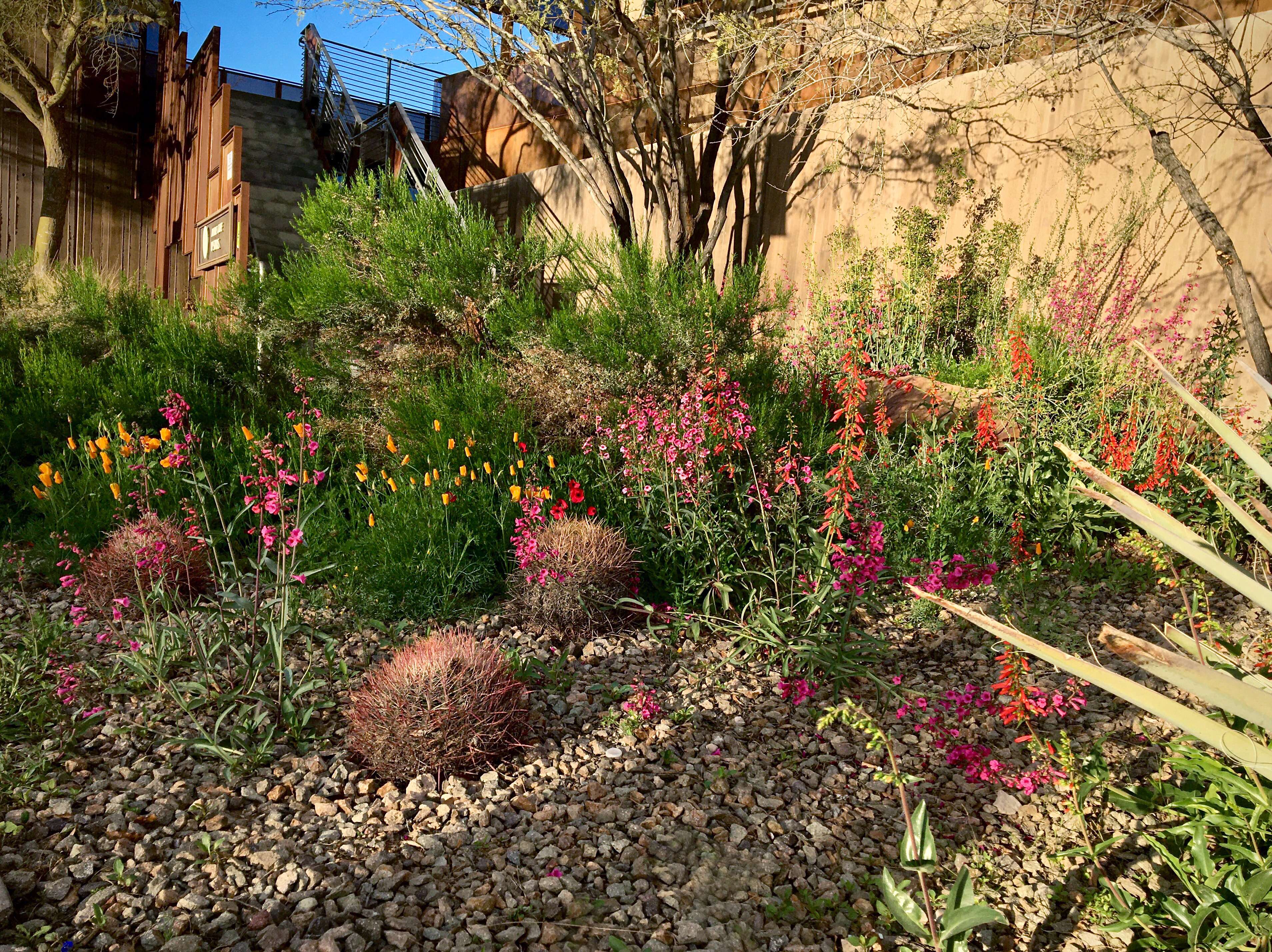 Visit Las Vegas Springs Preserve