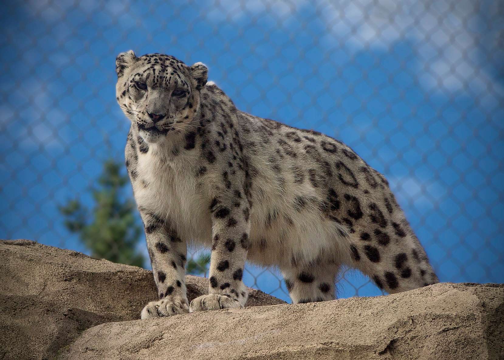 Alaska Zoo, Anchorage
