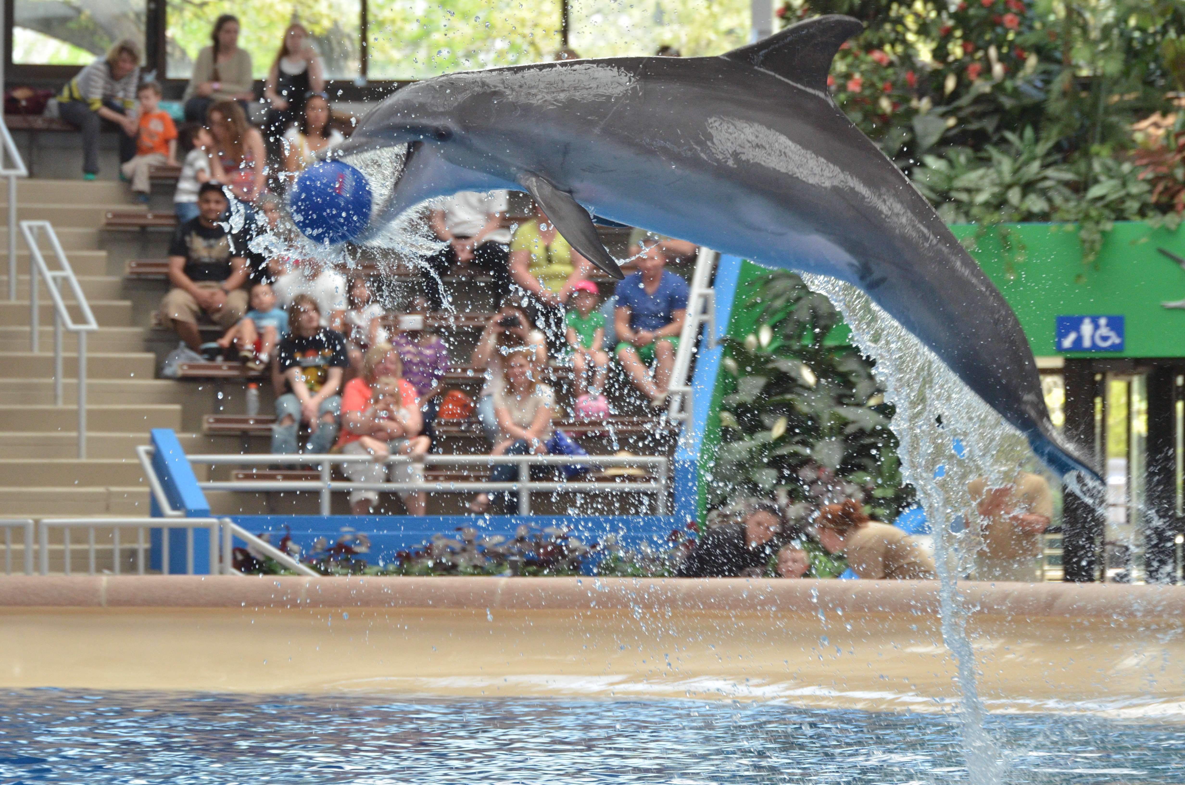 Brookfield Zoo, Chicago
