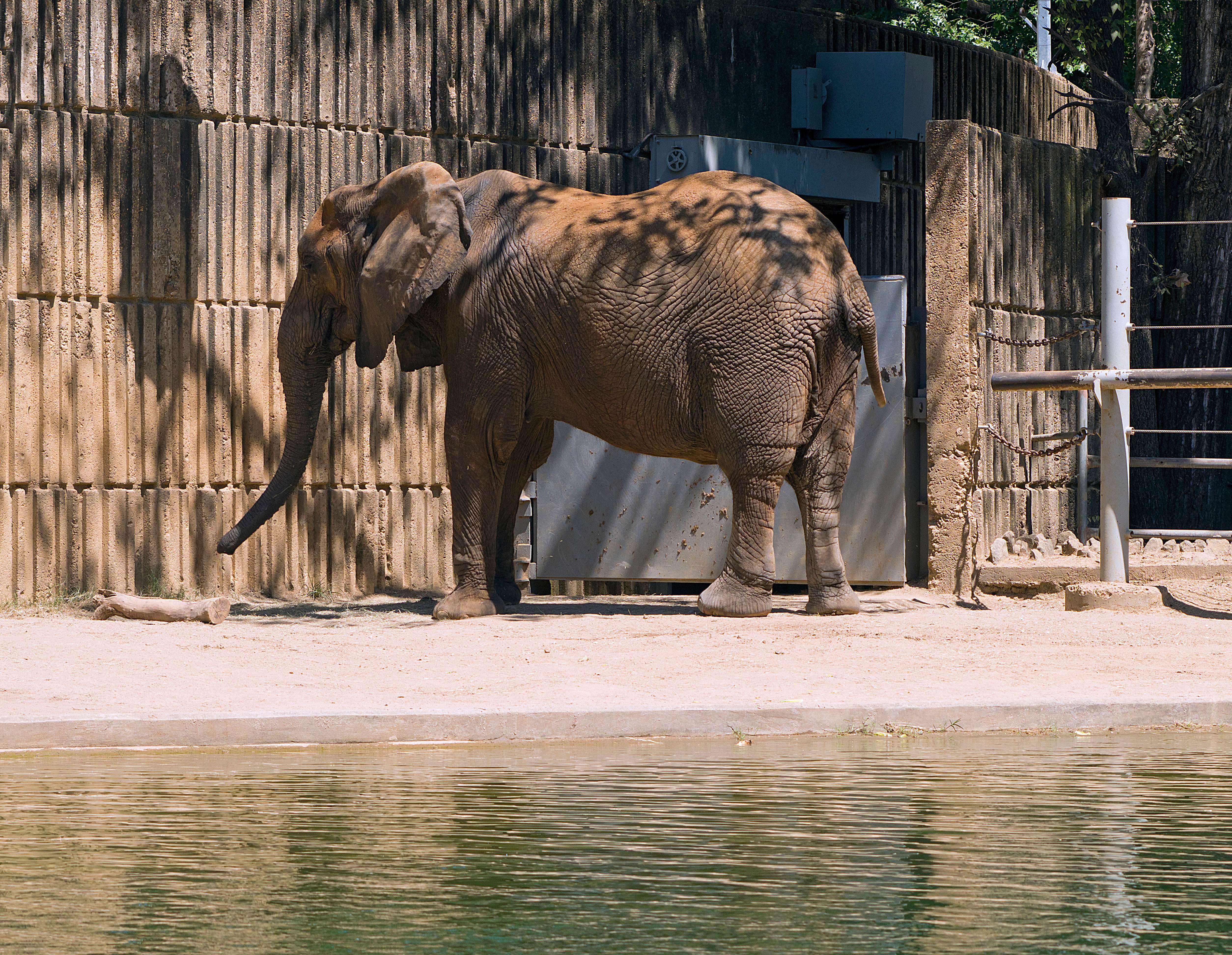 Memphis Zoo, Memphis