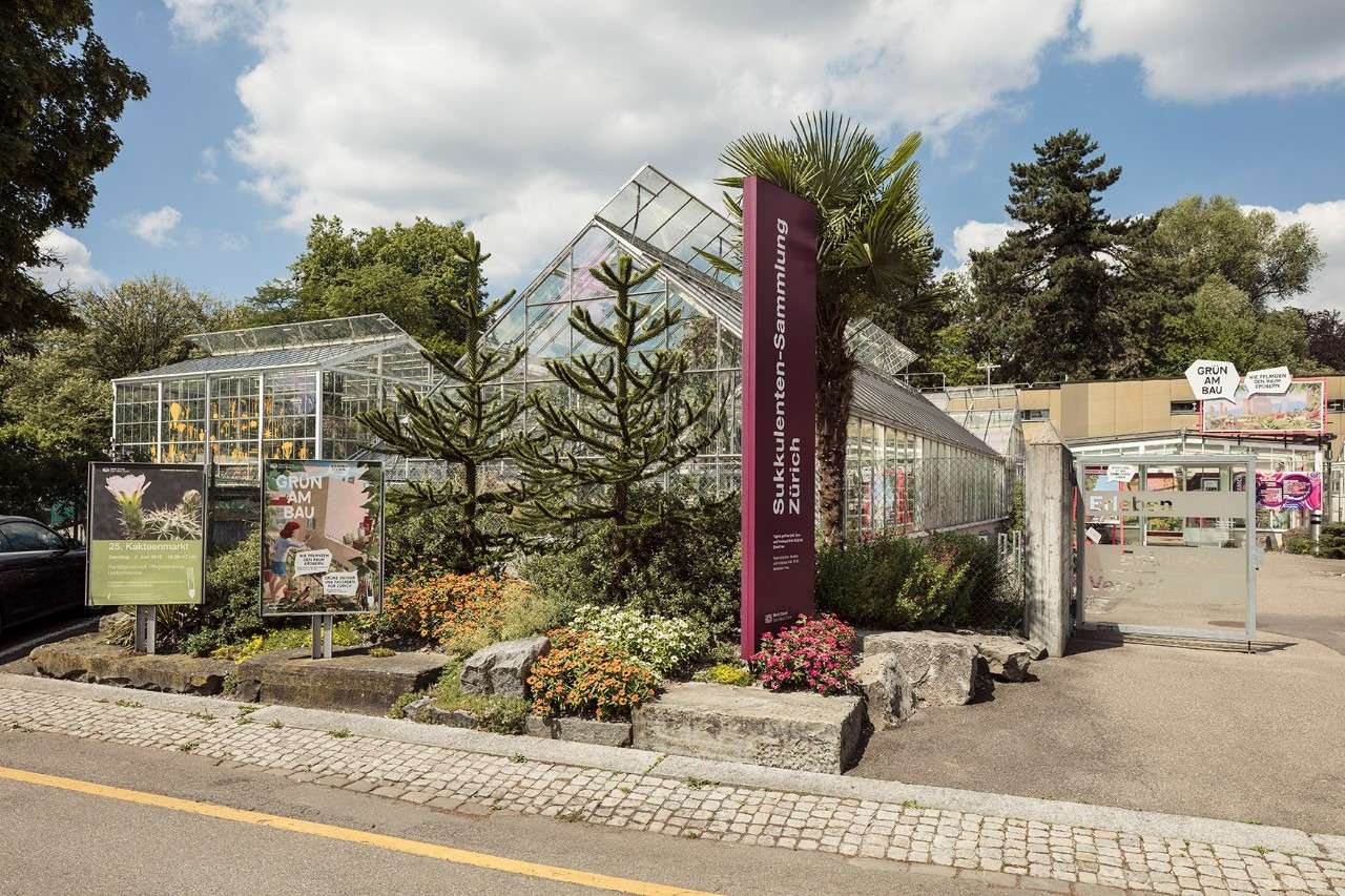 Warm Up At The Sukkulenten Sammlung