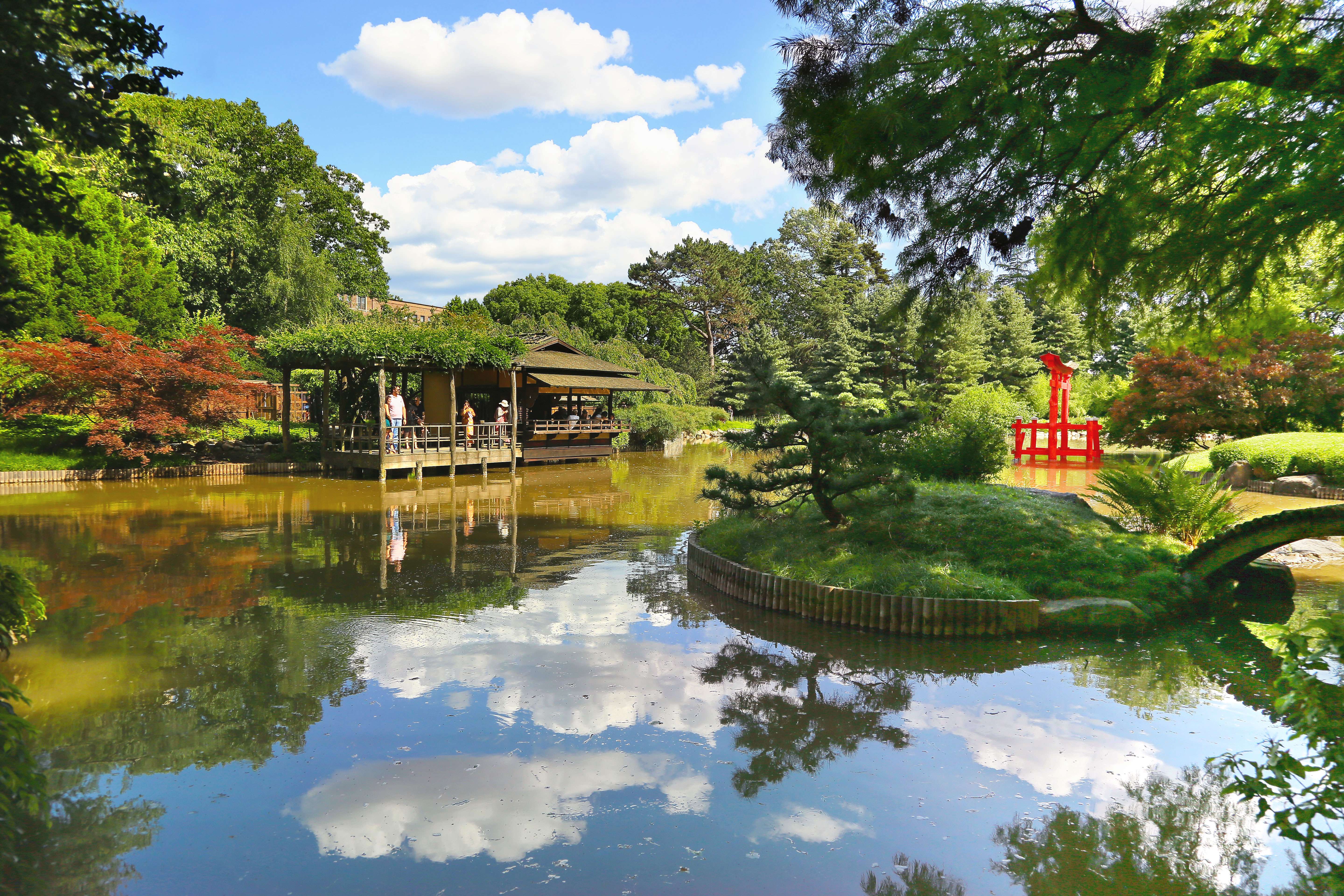 Walk Through the Brooklyn Botanic Garden