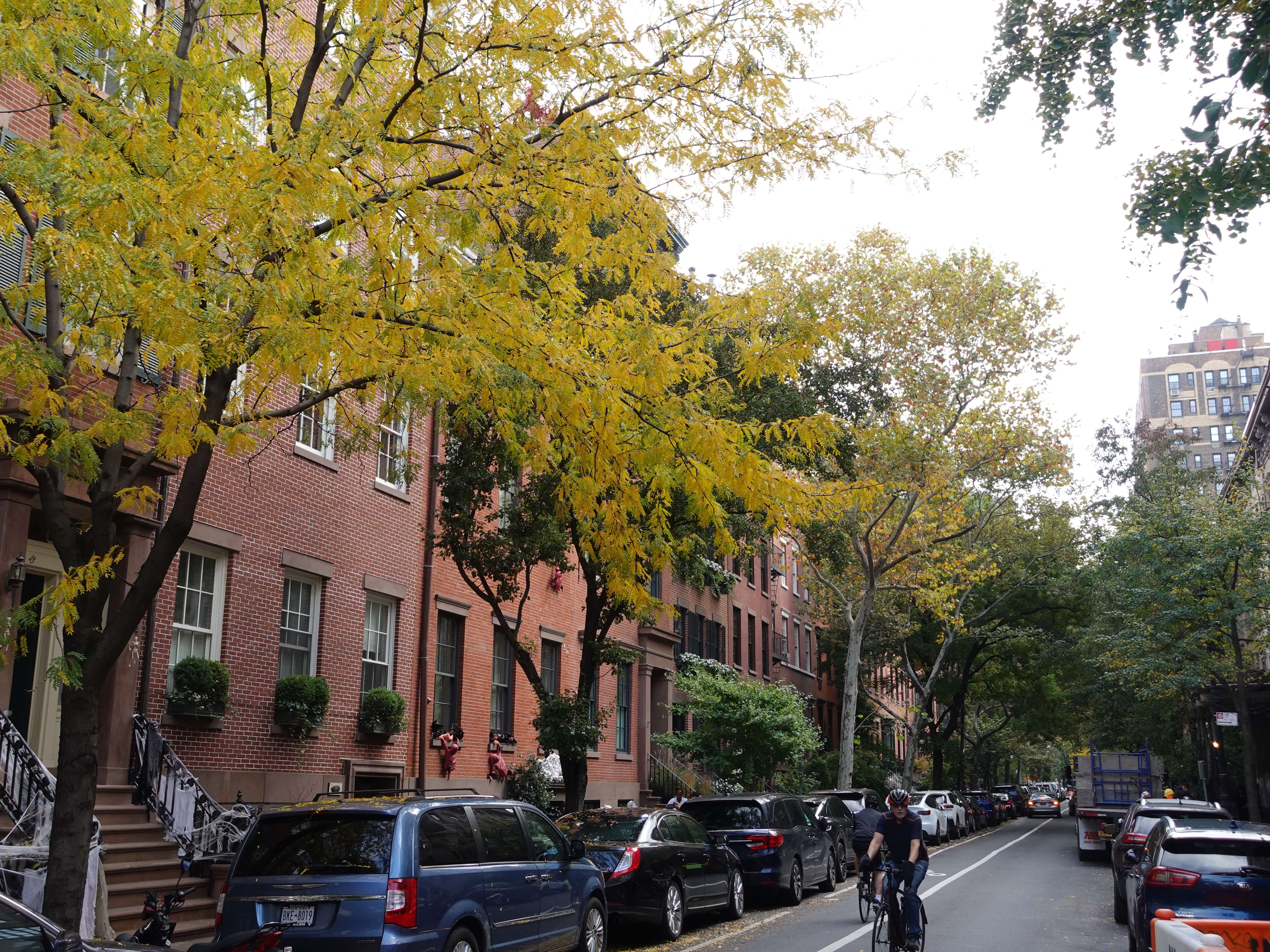 Spend a Night Out in Greenwich Village