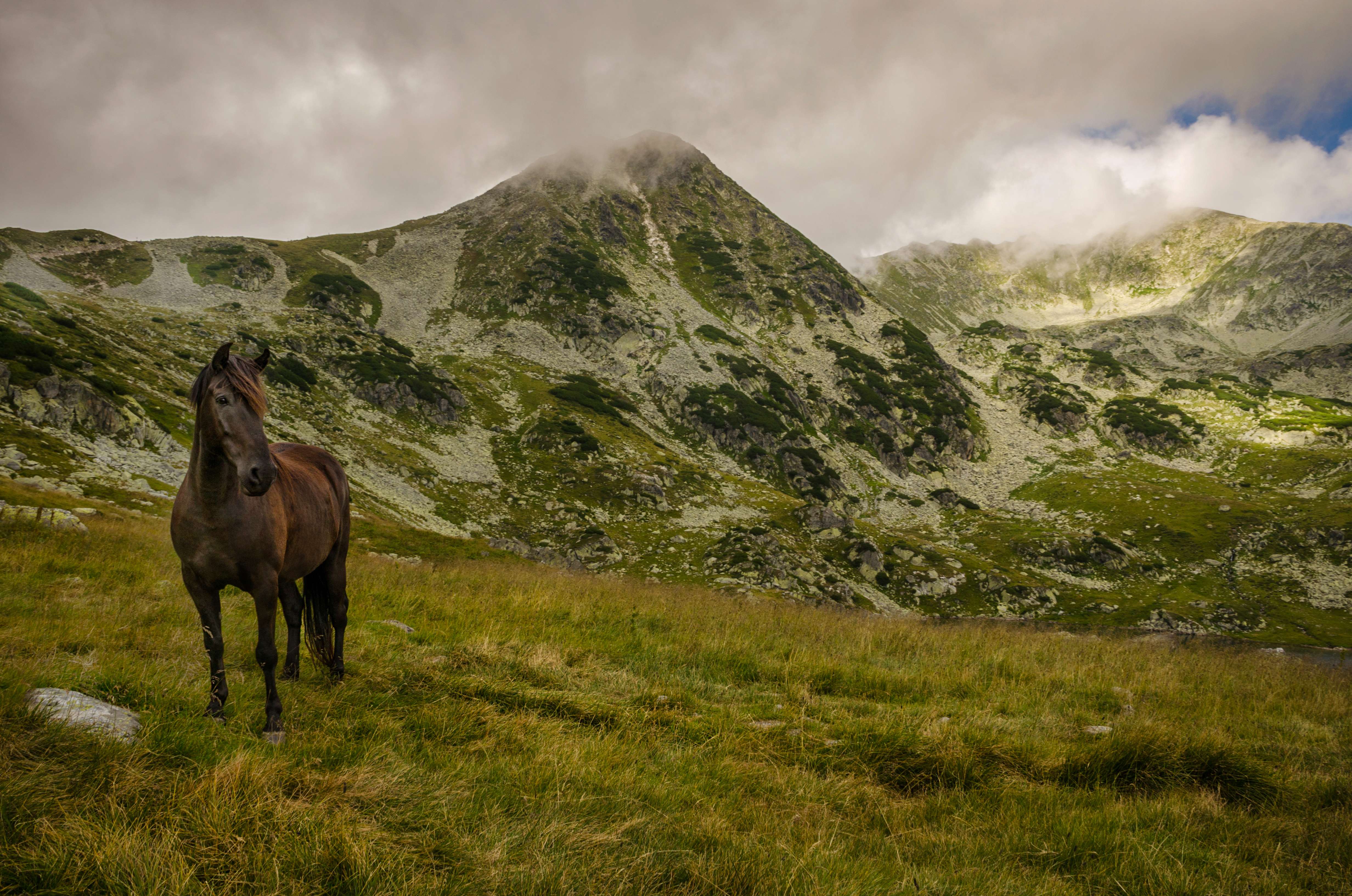 Retezat National Park