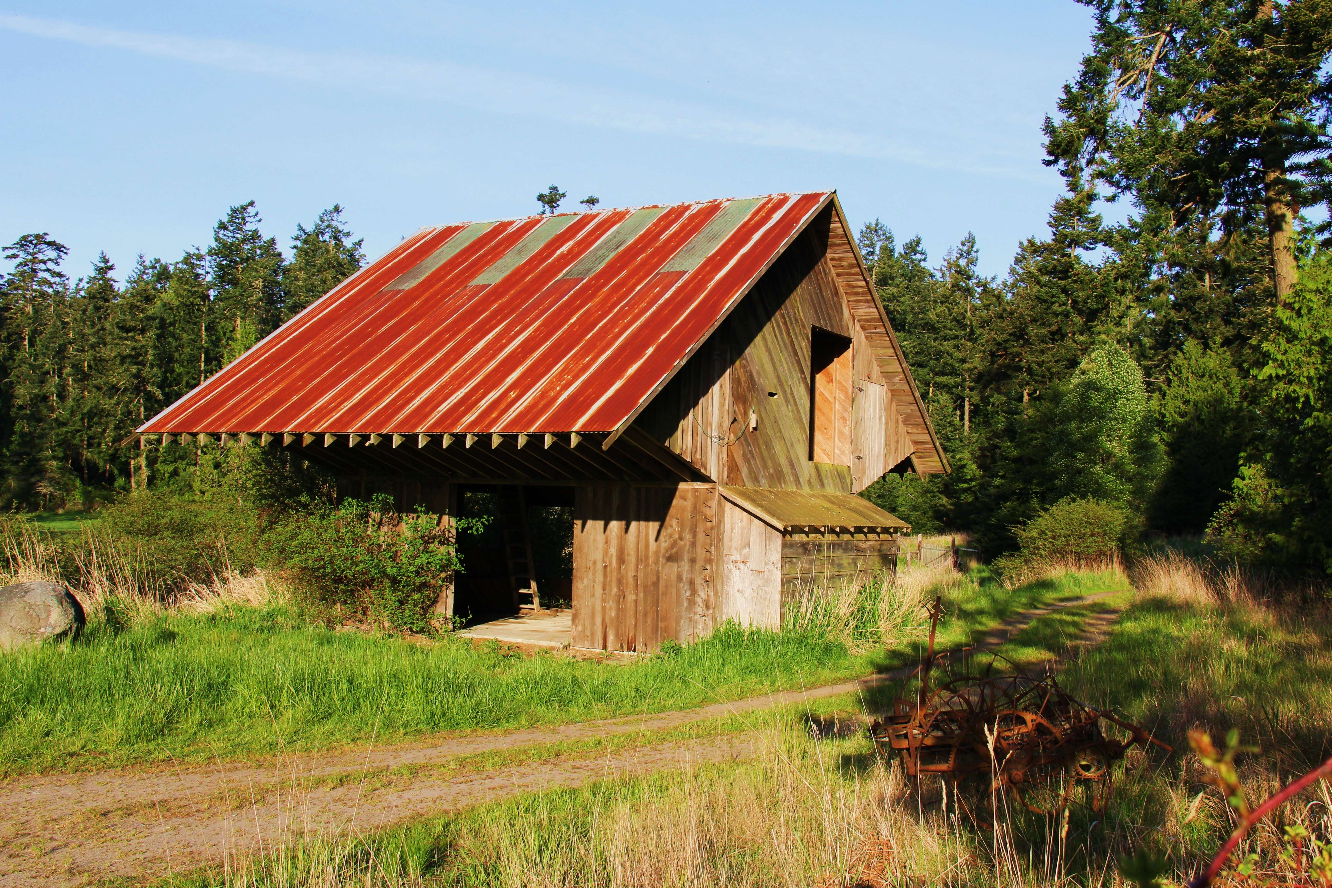 Hut Stay in Hippie Island
